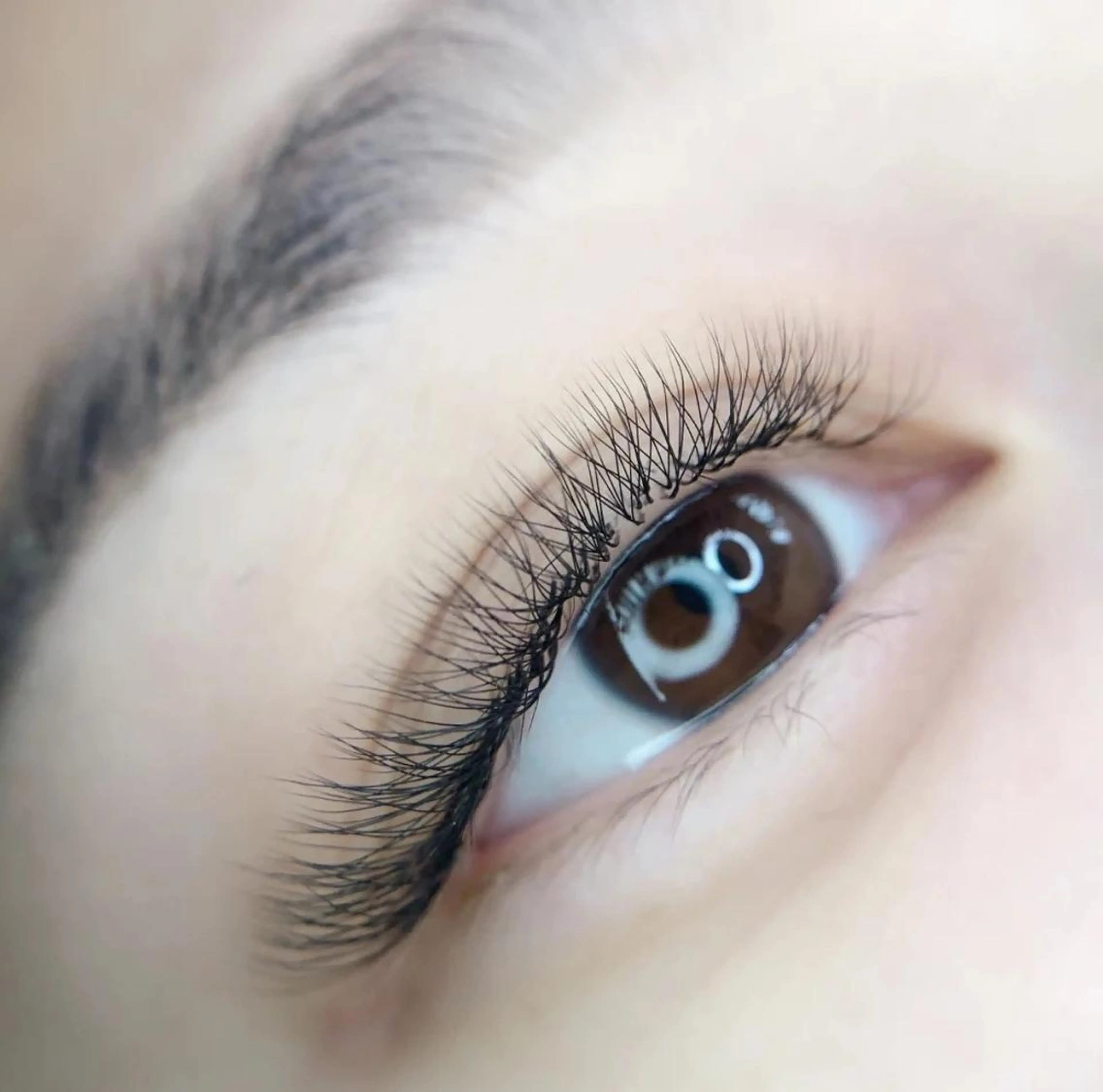 YY型ボリュームアプリケーション120本根元こだわりないあたり480本の写真