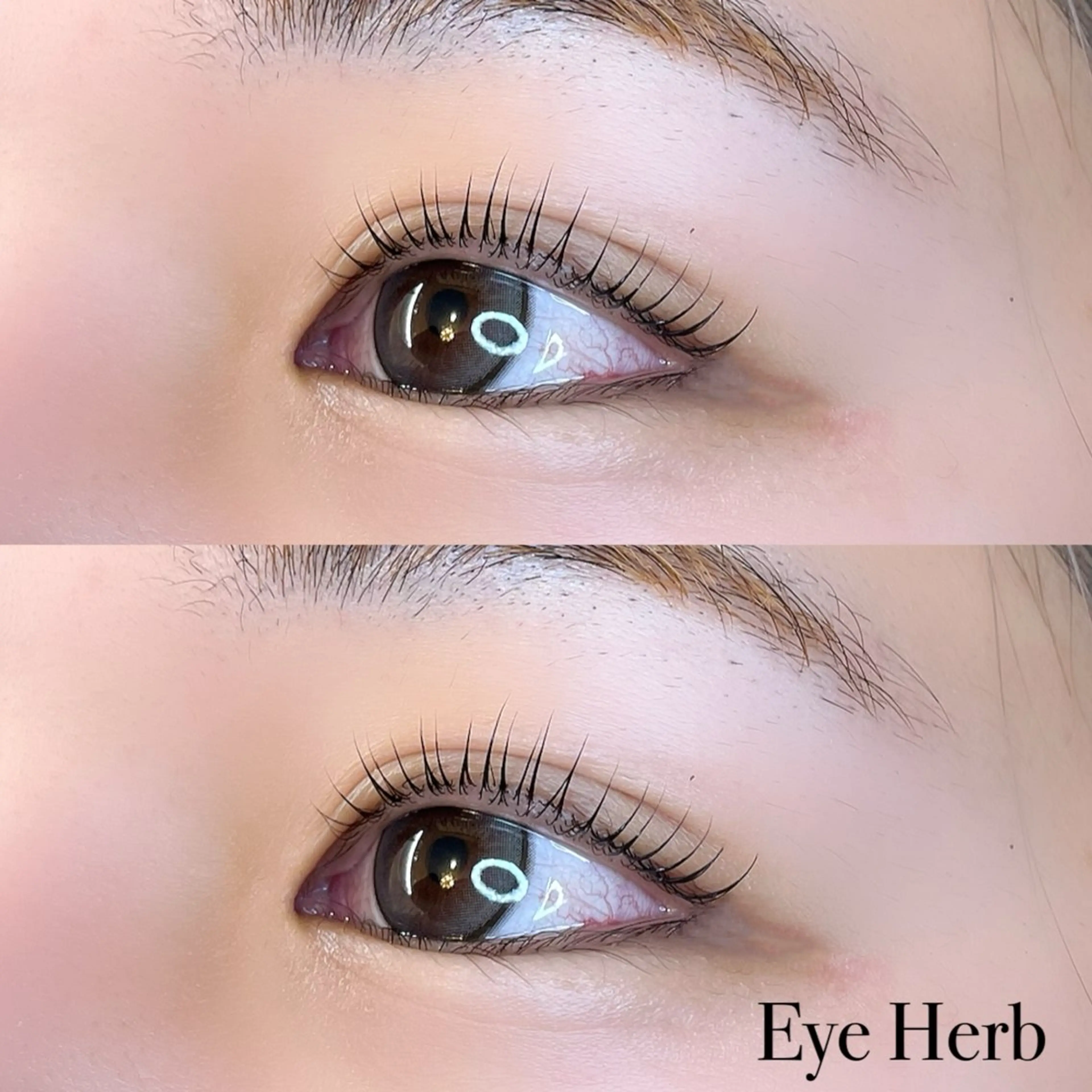 マツエク・マツパ パリジェンヌラッシュリフト Eye Herb beauty salon所属・♡ Mireiのマツエク・マツパデザイン