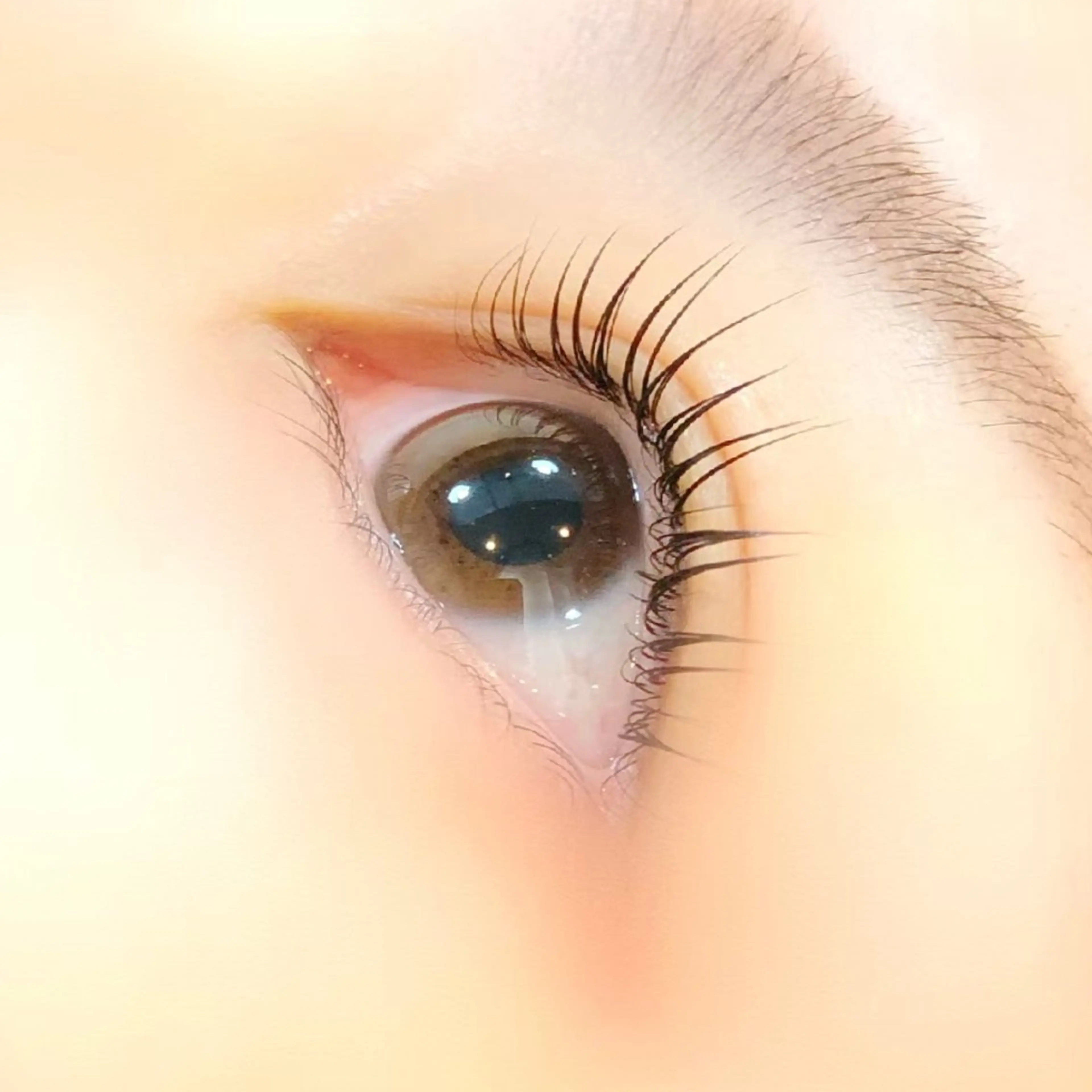 マツエク・マツパ 束感まつぱ🥑🤍 NATUKI🤍のマツエク・マツパデザイン