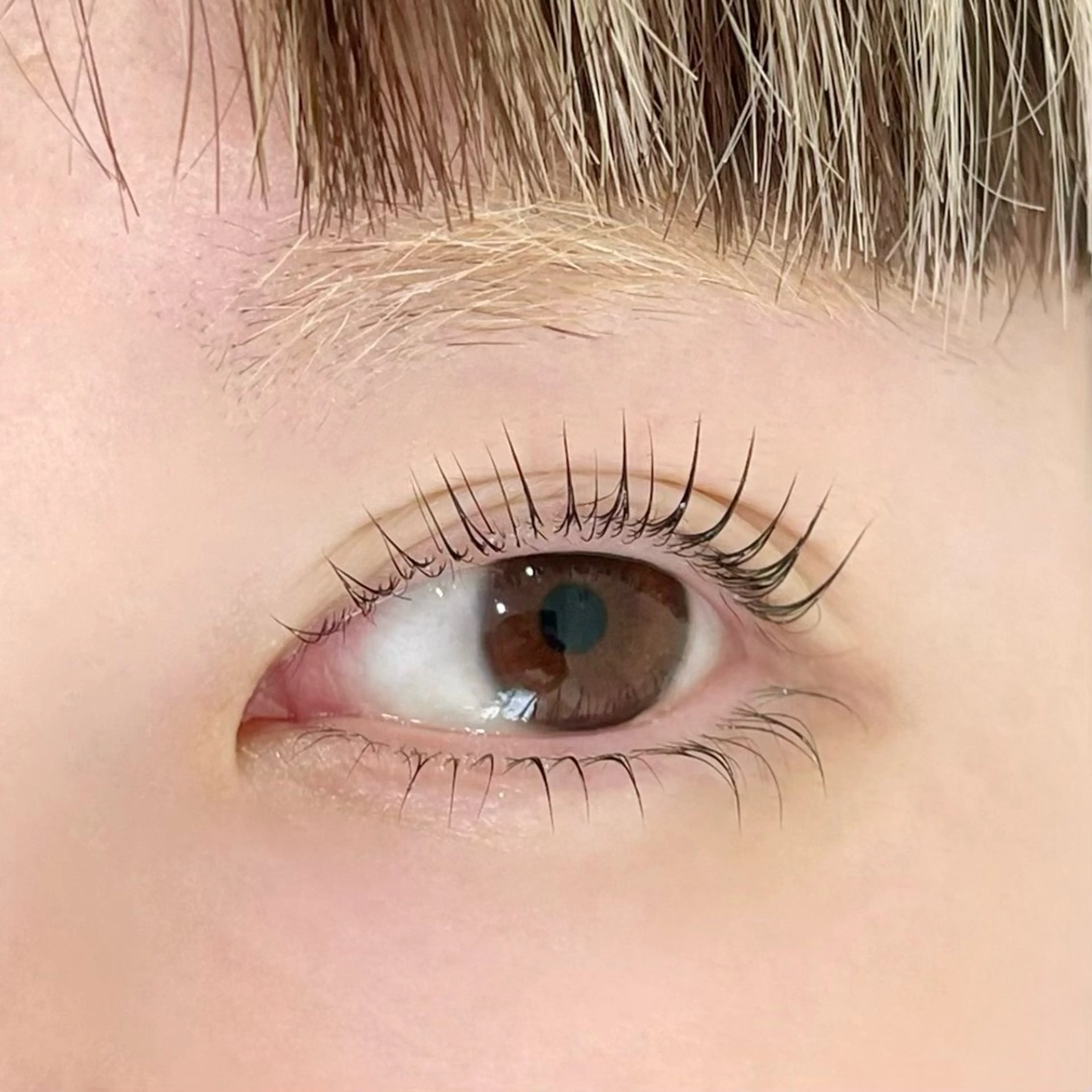 ✨ミニモ限定価格✨大人気！似合わせまつ毛パーマ上下🤍の写真