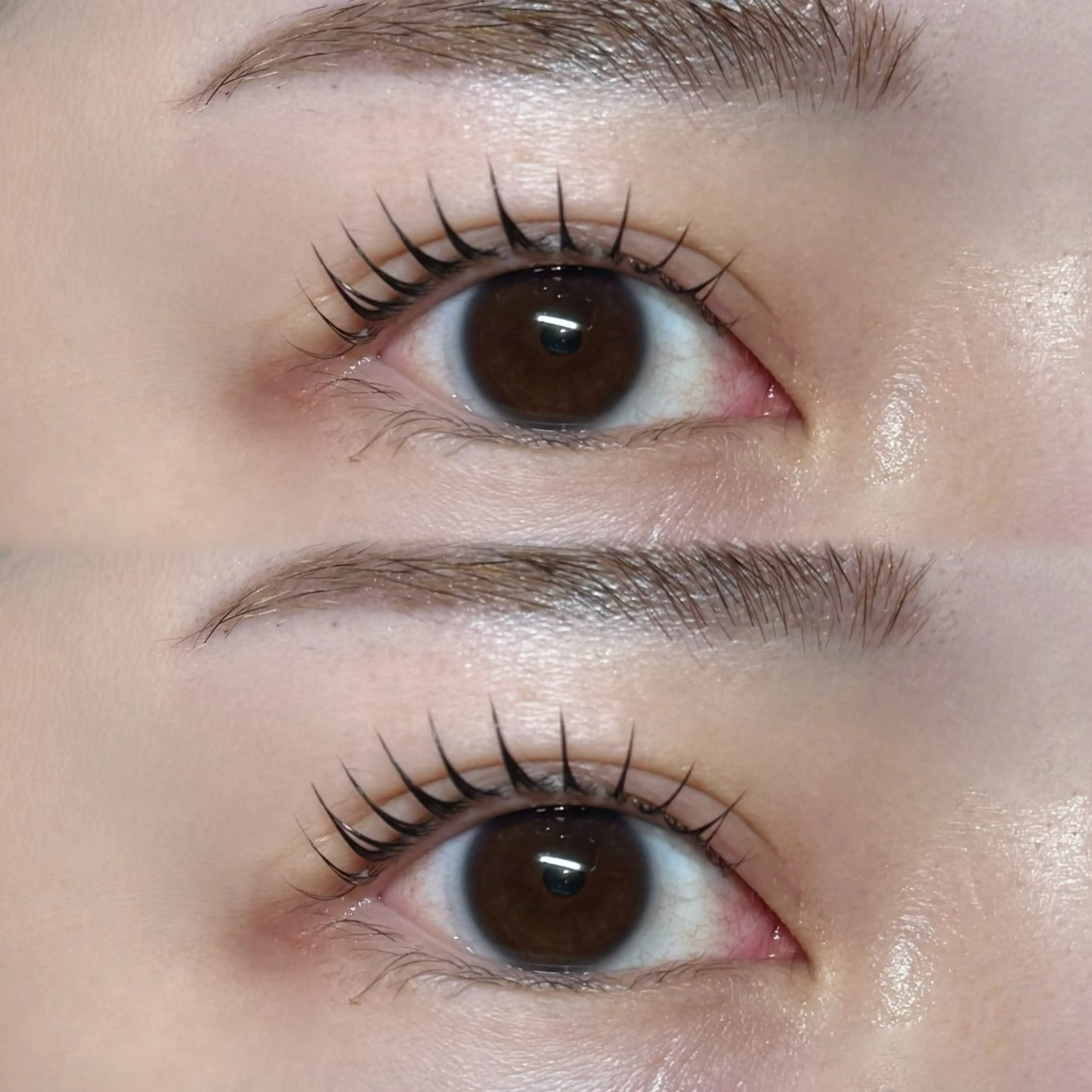 マツエク・マツパ マツパ ayaha ⌇angelicaのマツエク・マツパデザイン