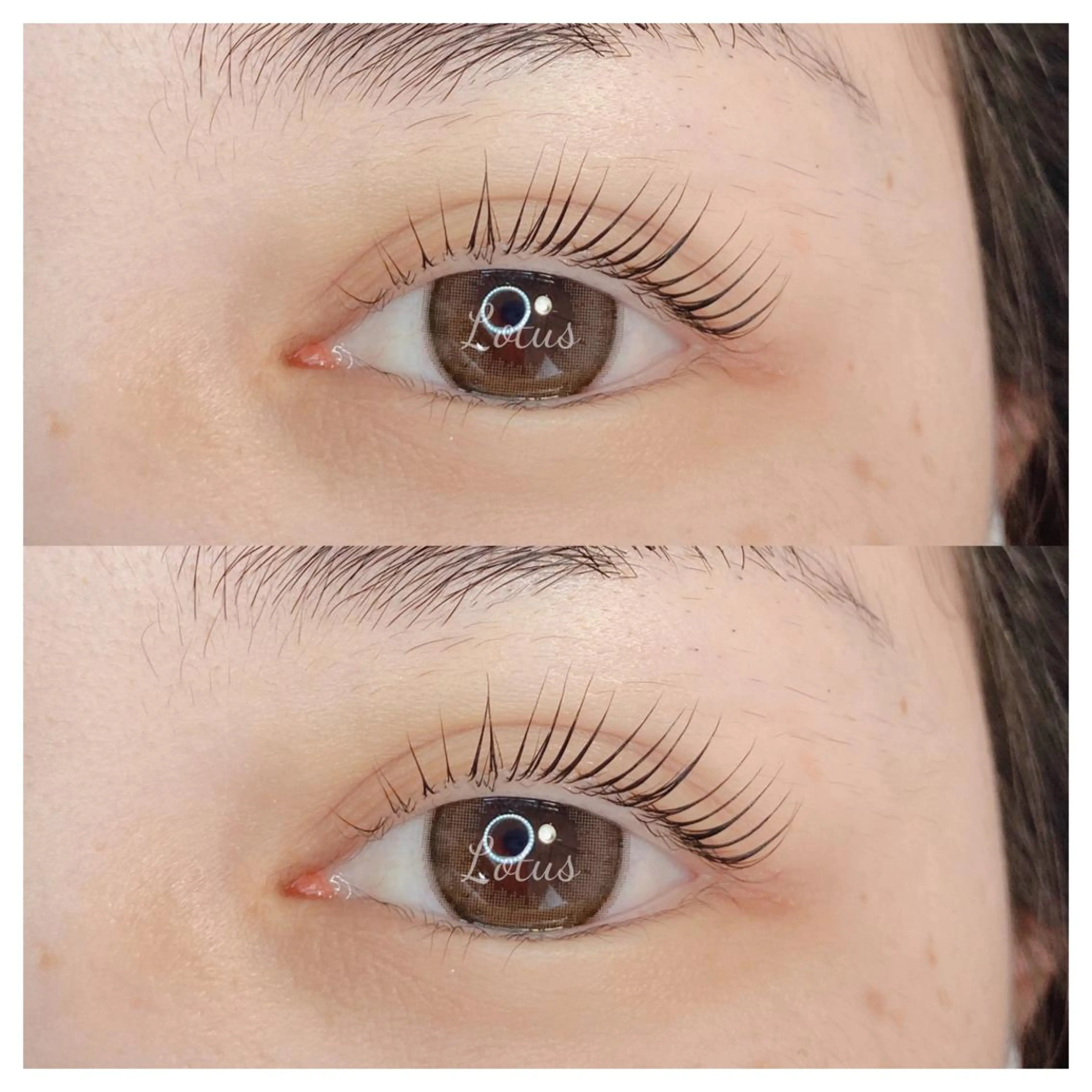 マツエク・マツパ マツパ Lotus所属・Lotus ロータスのマツエク・マツパデザイン