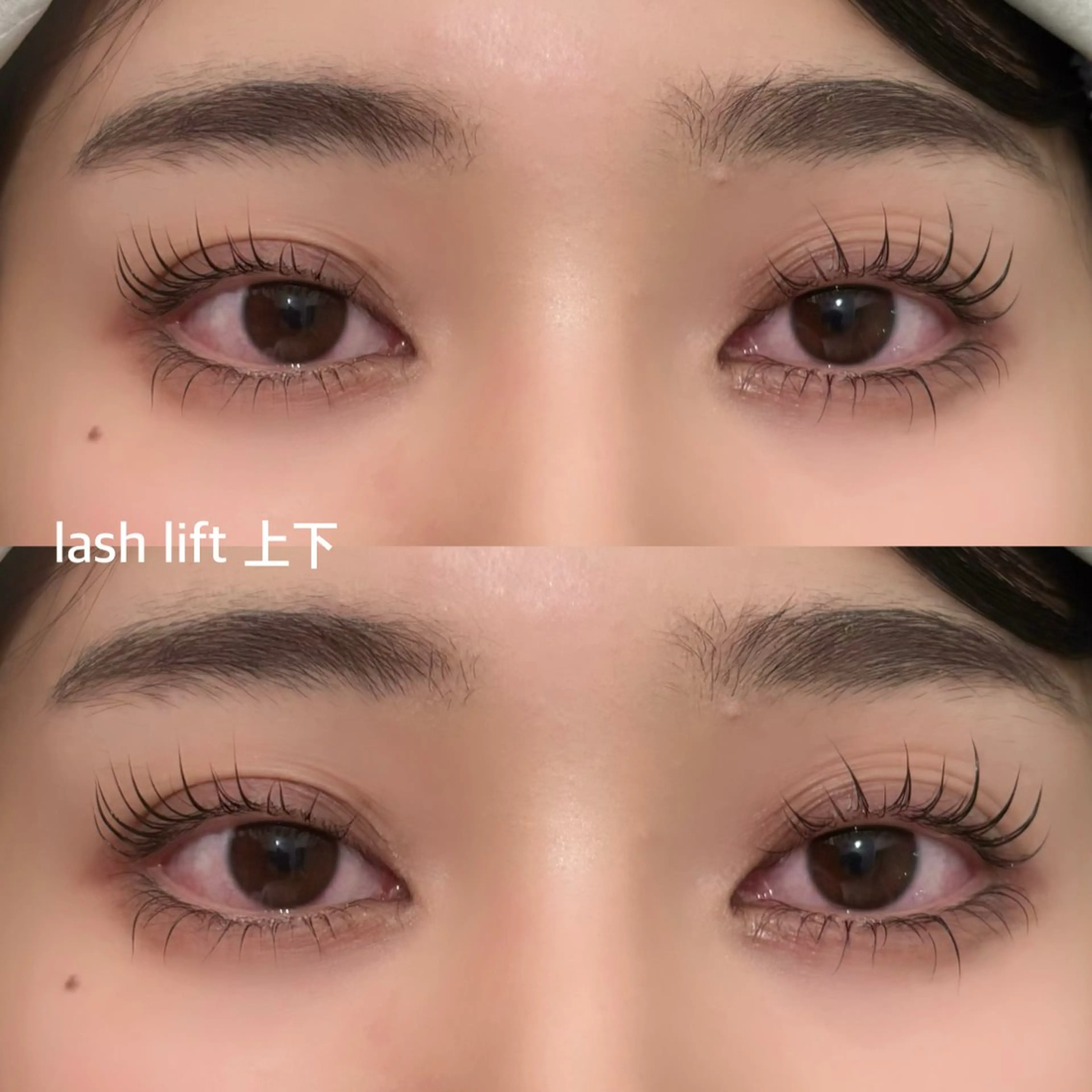 【1/12.13限定⛸️🎀】上下まつげパーマ（コーティング付）￥11700→¥7020今だけ40%オフ✨✨の写真