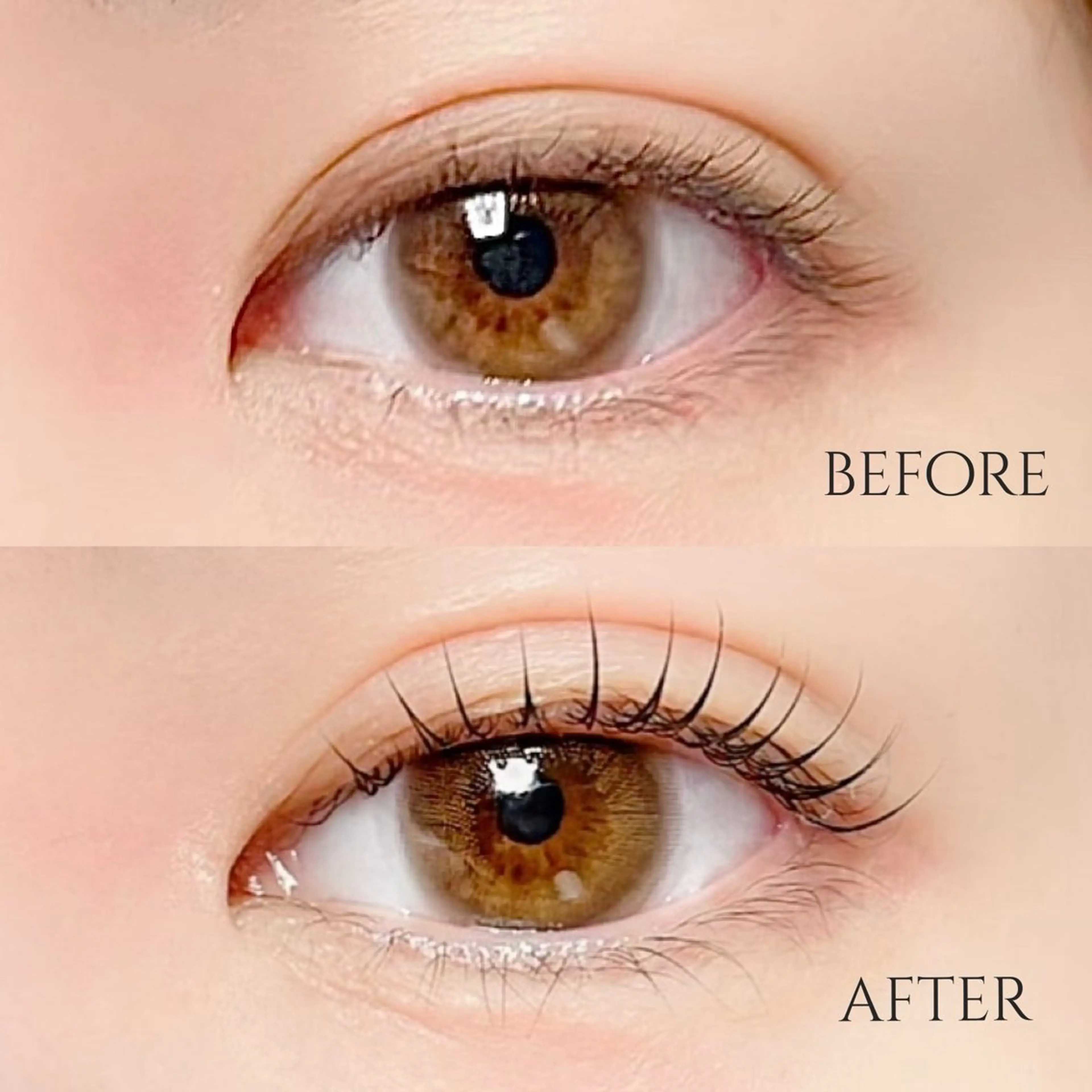 マツエク・マツパ MOMOE 恵比寿 まつげパーマのマツエク・マツパデザイン