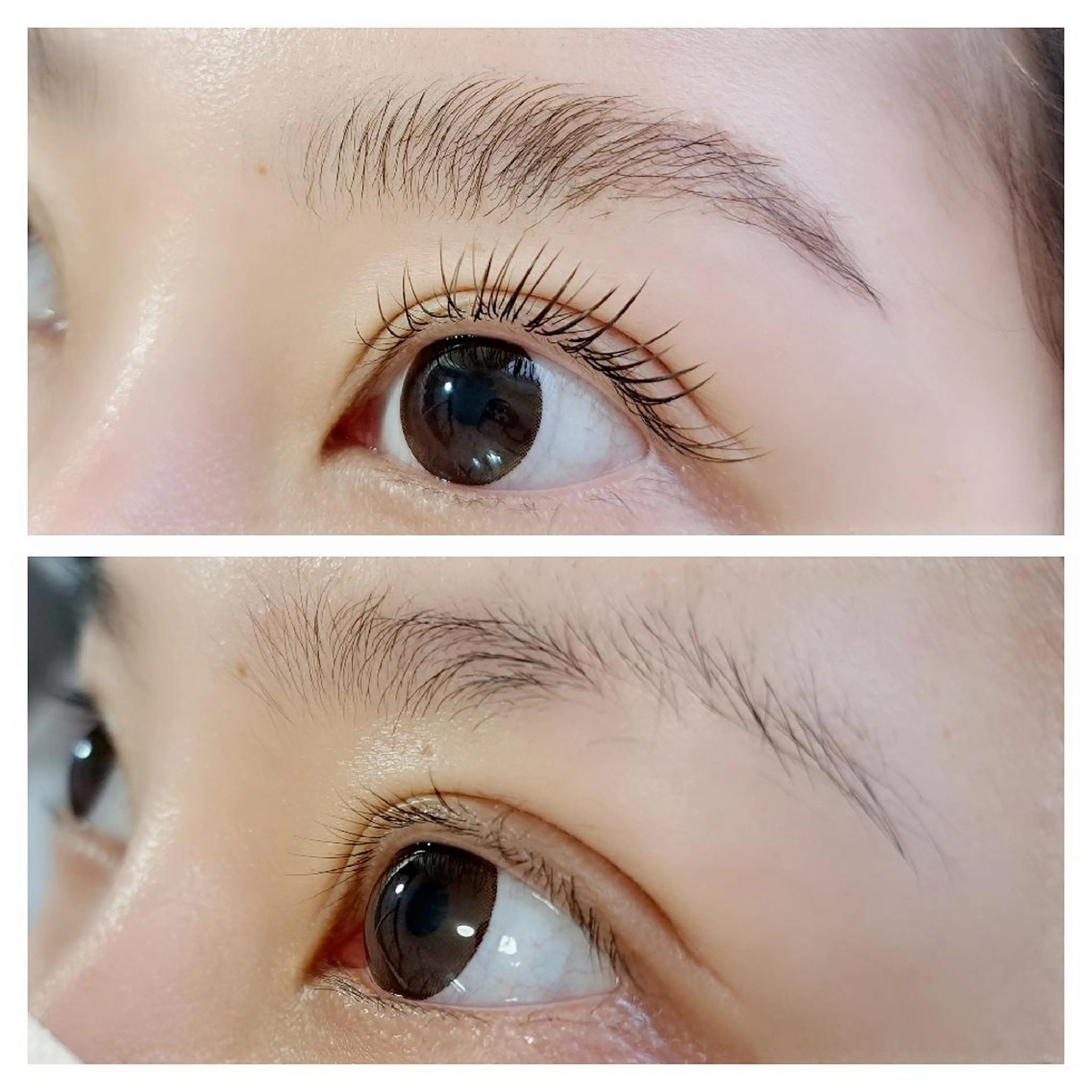 アイブロウ マツエク・マツパ フラットラッシュ 👑🐗 下原のマツエク・マツパデザイン