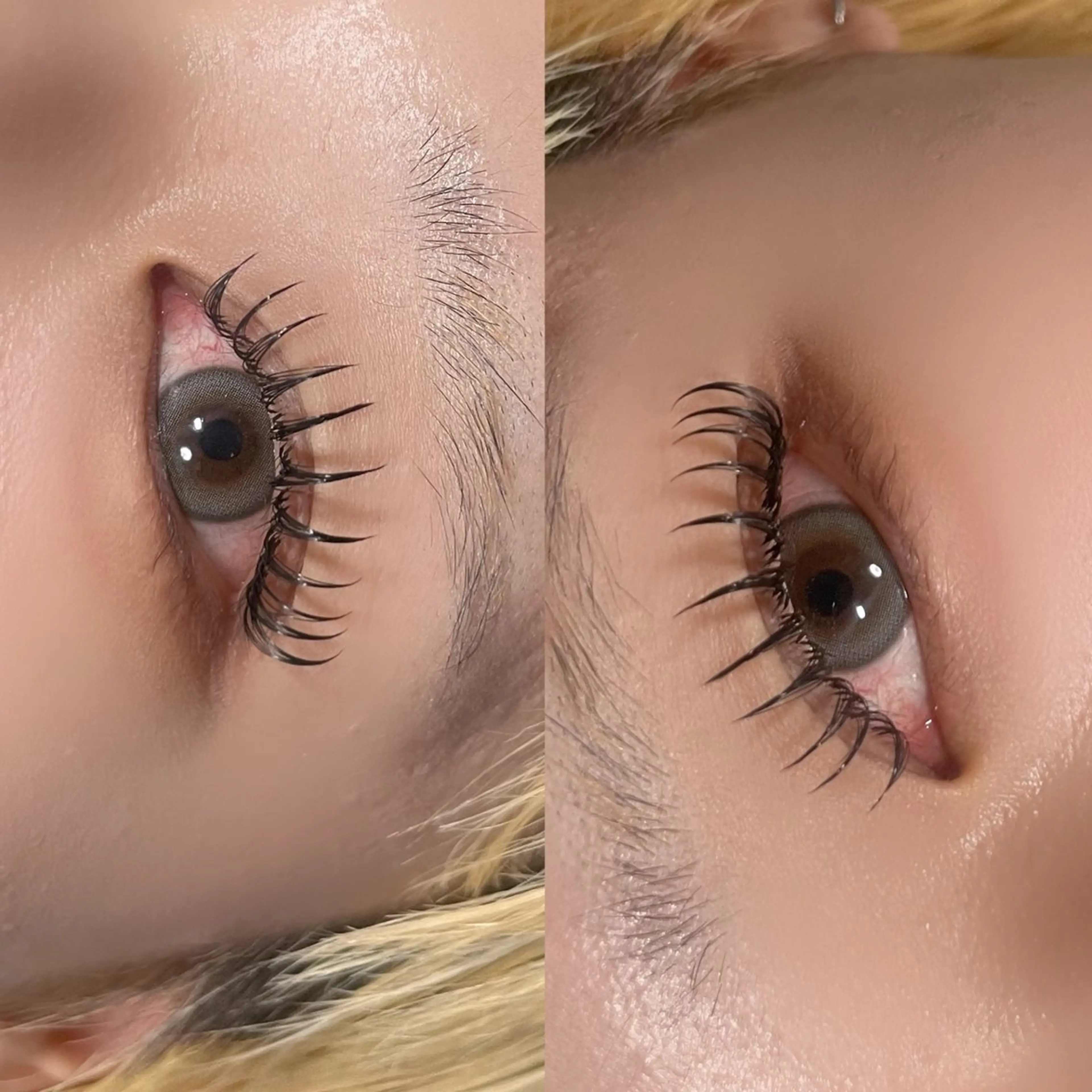 マツエク・マツパ eclipse eyelashのマツエク・マツパデザイン