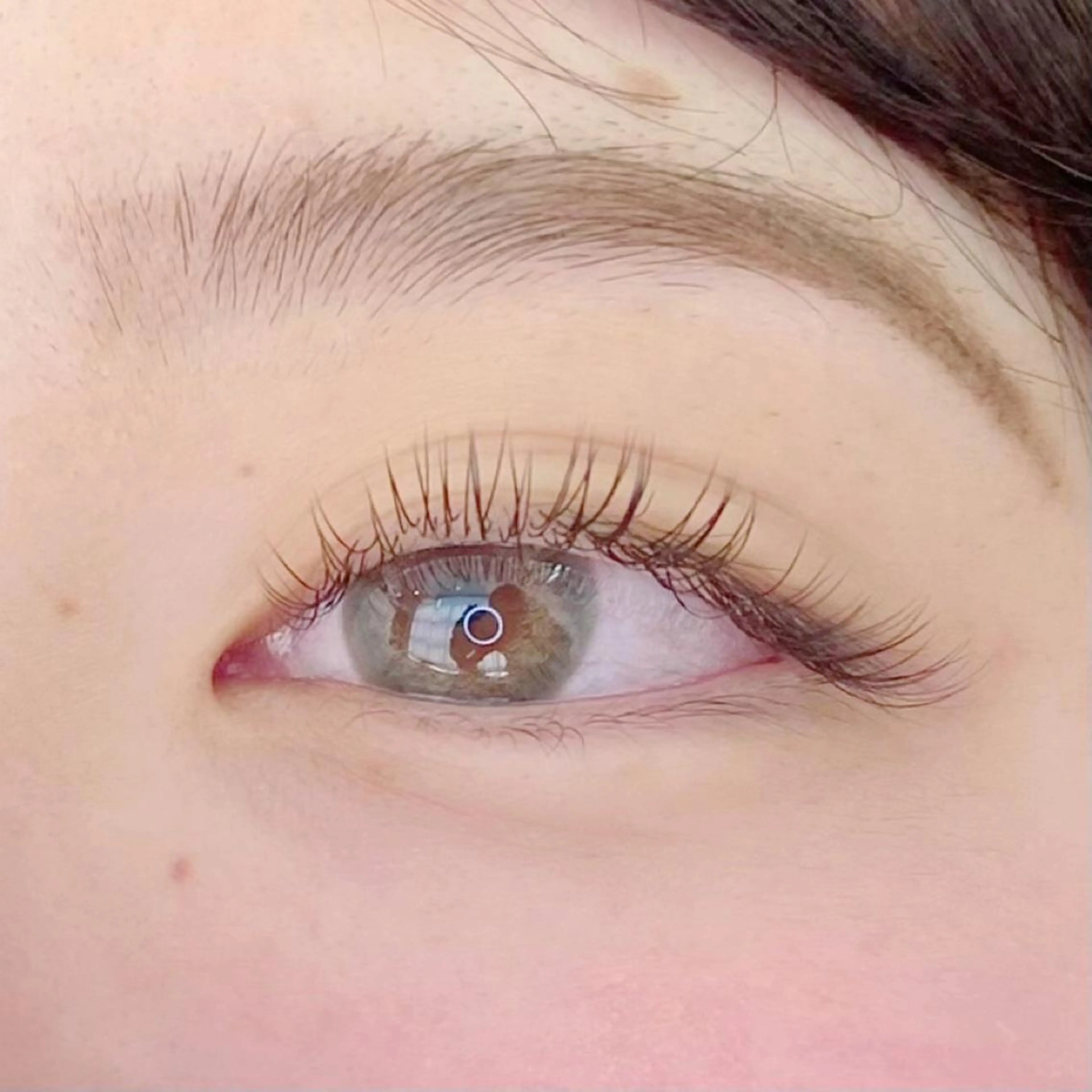 〖✧お得キャンペーン✧〗フラットラッシュエクステ140~160本🪄🫧の写真