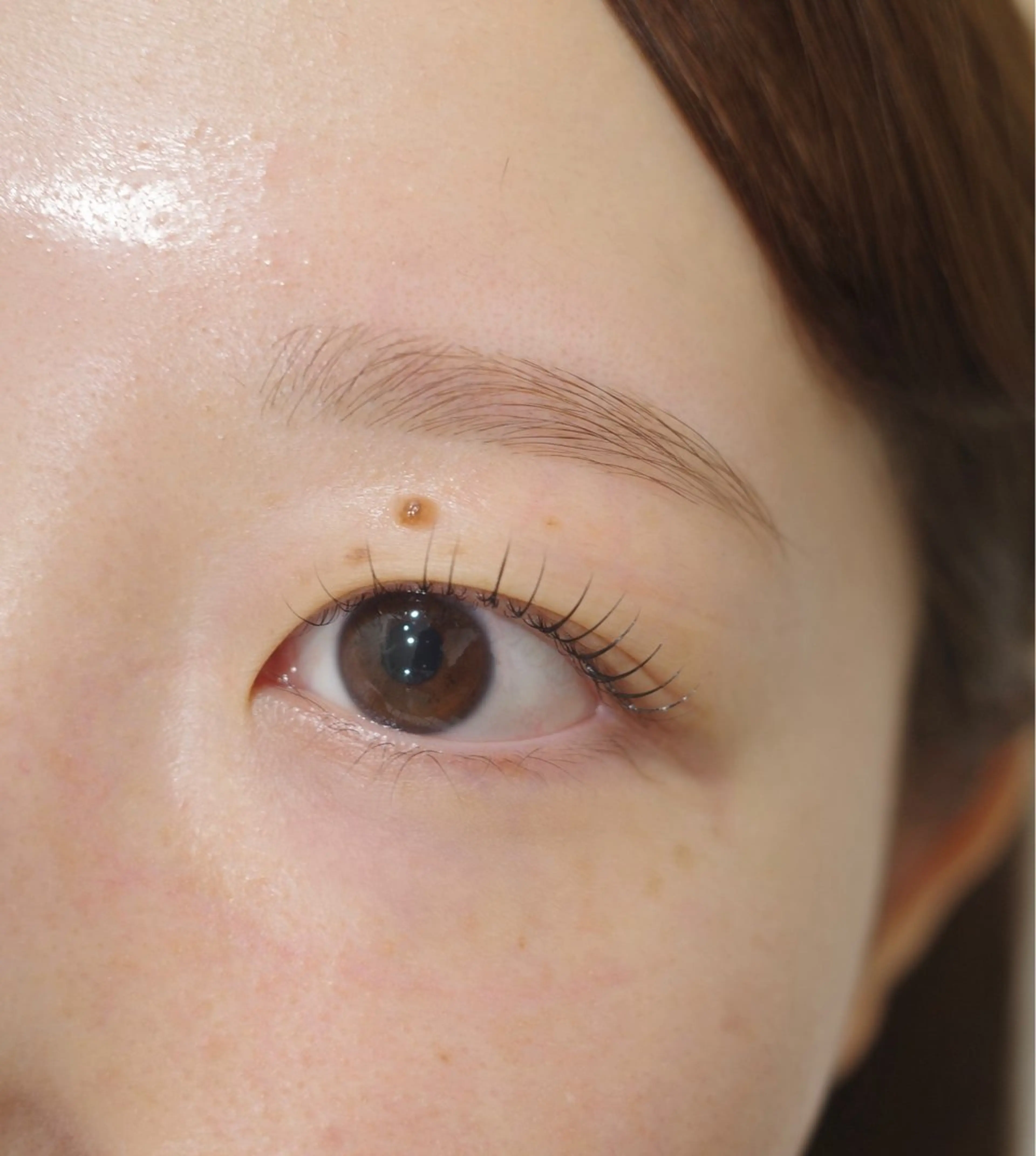 アイブロウ ワックス脱毛 Eyepreme渋谷店所属・eyepreme aoiの眉毛・アイブロウイメージ