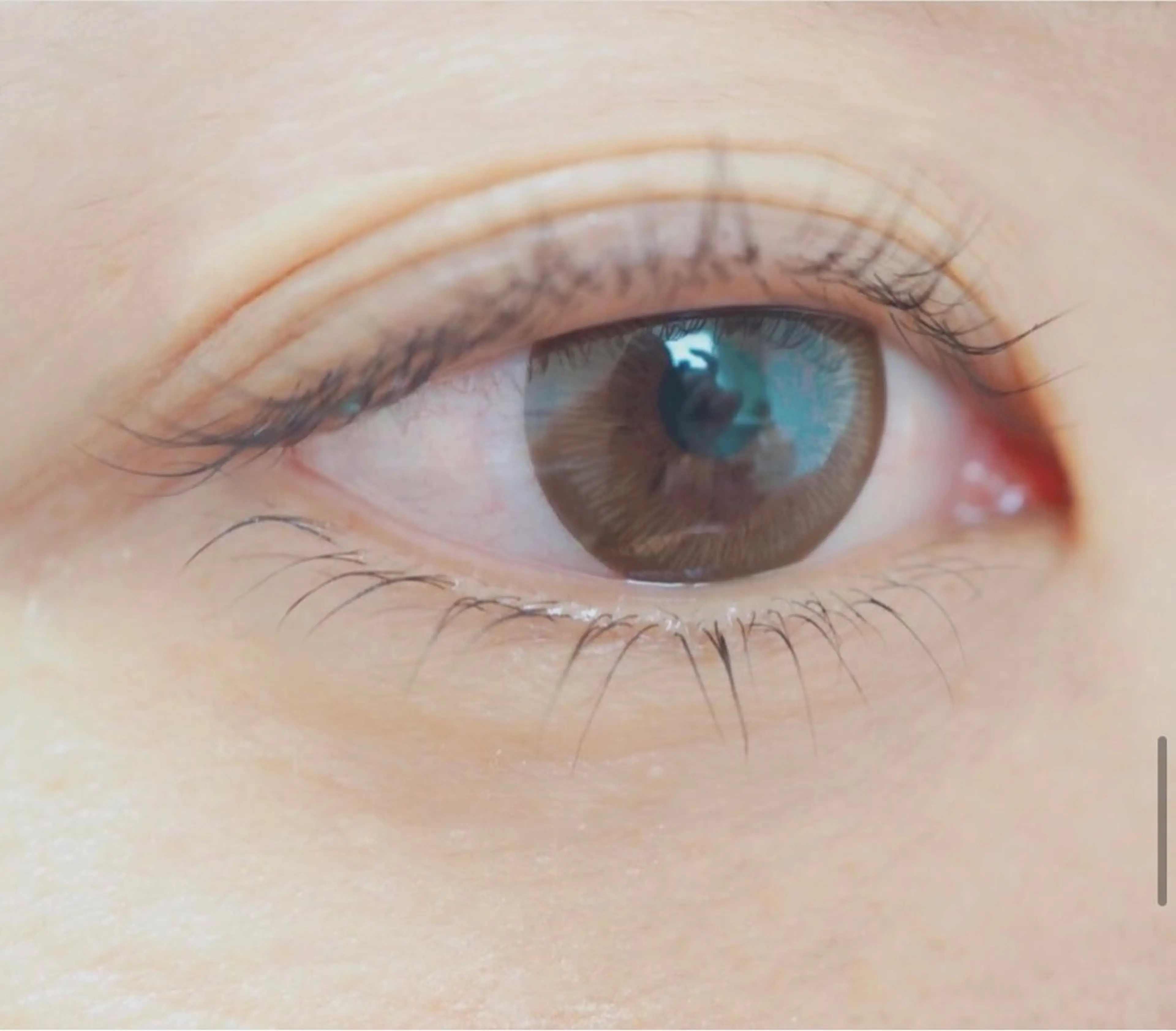 マツエク・マツパ 眉毛とまつ毛の目元専門店　mina 大財店所属・mina 大財店の眉毛・アイブロウイメージ