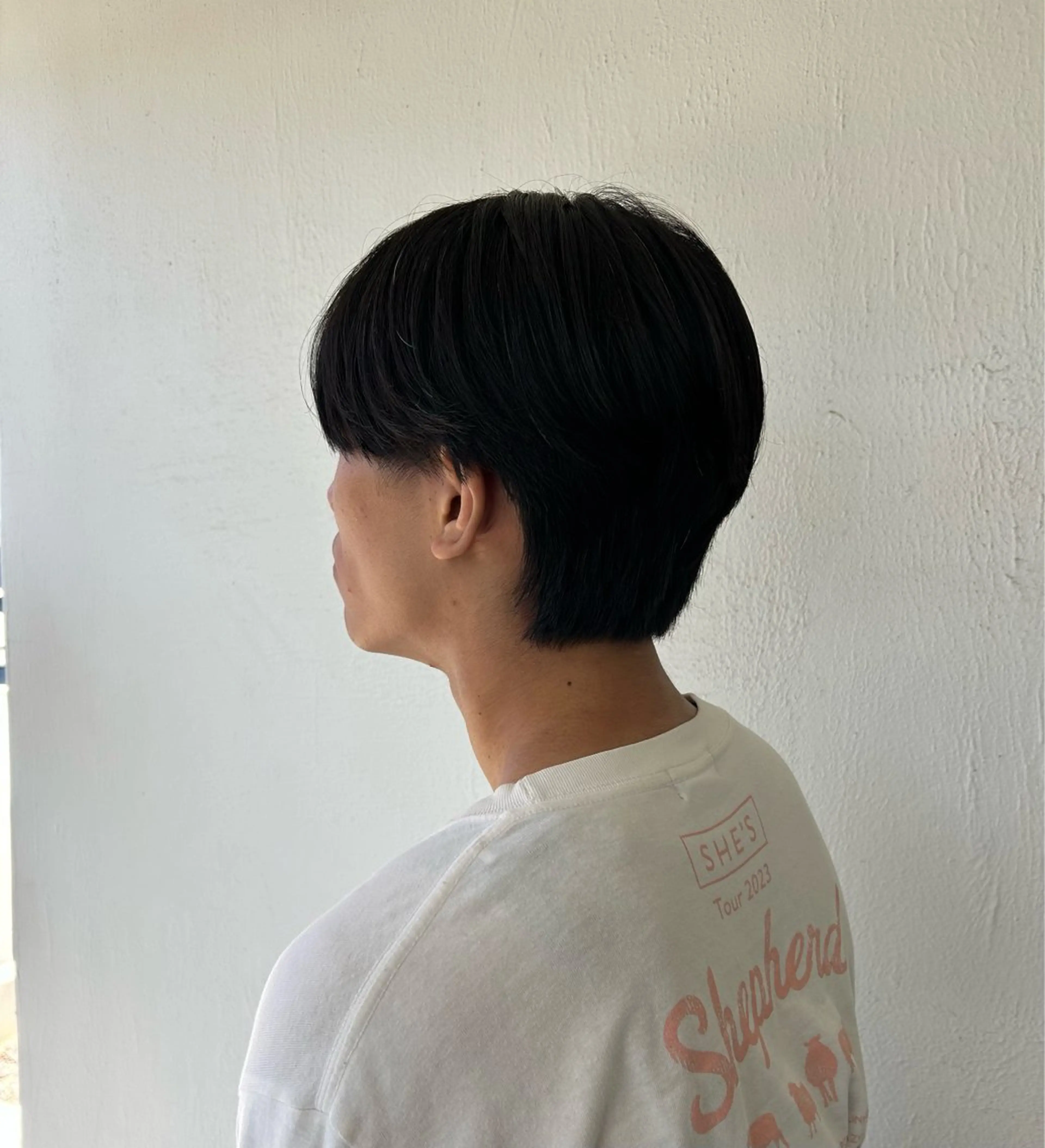 メンズ センターパート メンズ韓国風 韓国マッシュ マッシュ シースルーマッシュ 野澤 杏のヘアスタイル