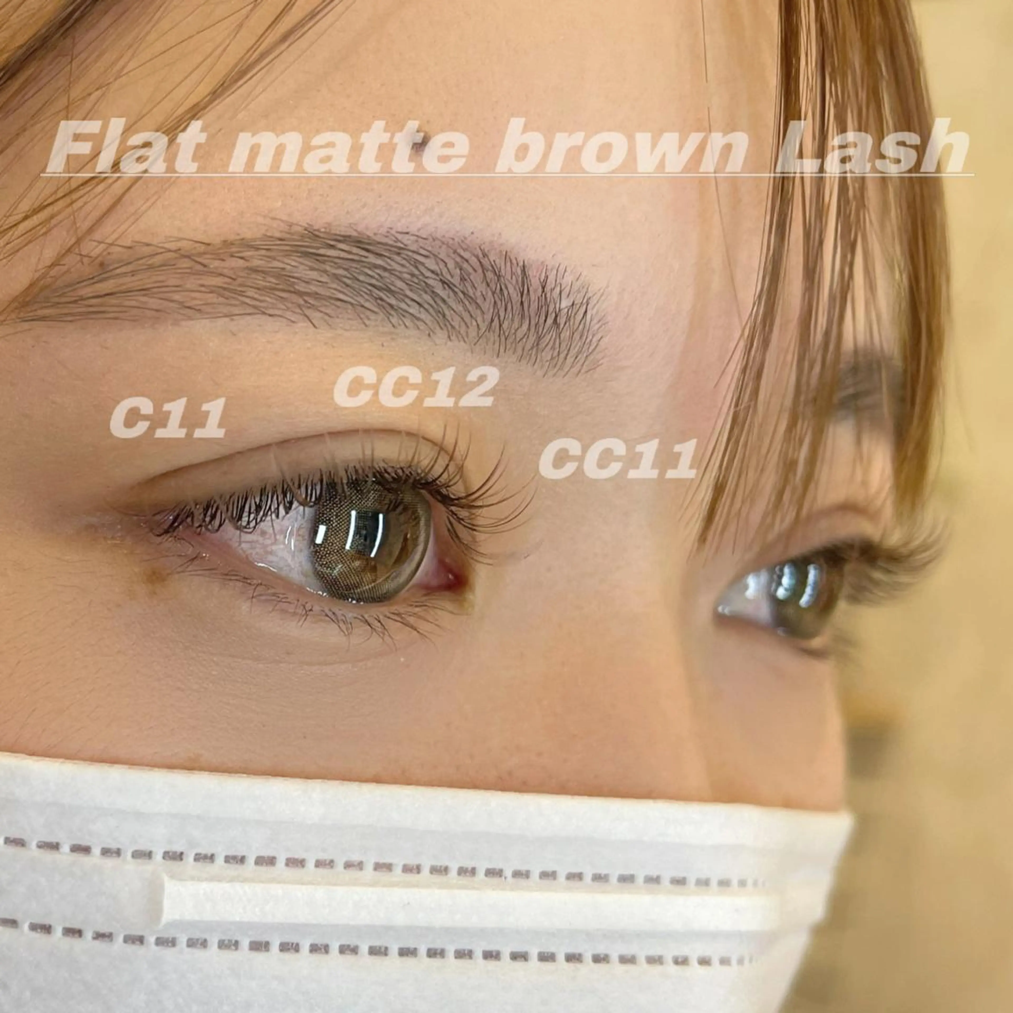 マツエク・マツパ ブラウンラッシュ CCカール Cカール カラーマツエク マツエク Eye ELSA lash栄店の眉毛・アイブロウイメージ