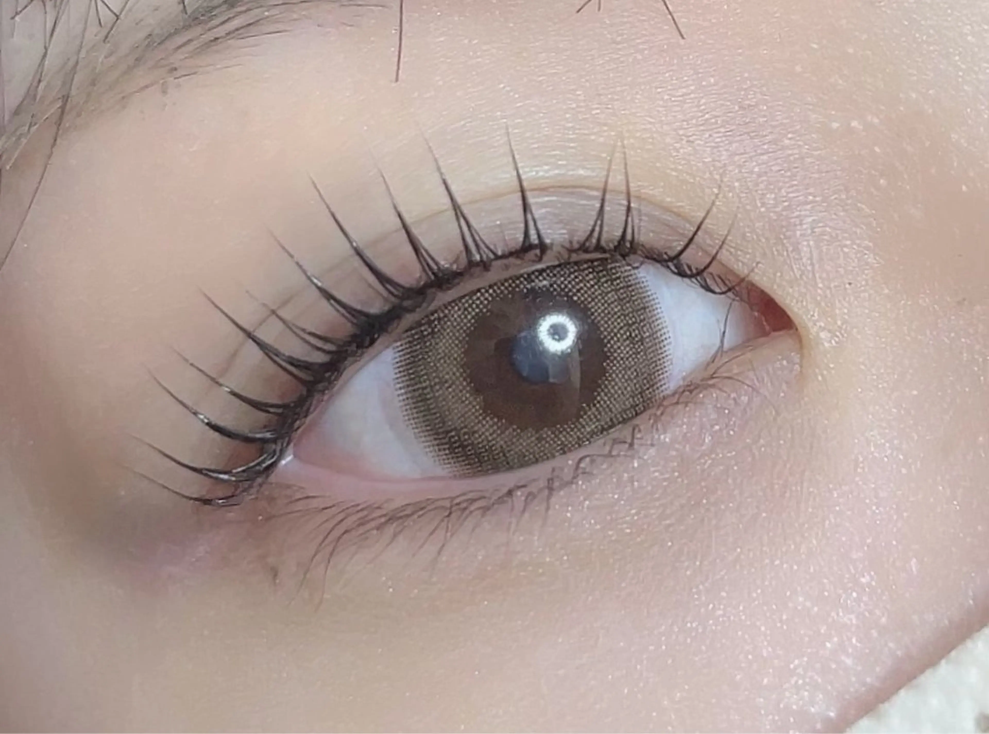 パリジェンヌラッシュリフト　美容液成分入りコーティング付き　¥4,800の写真