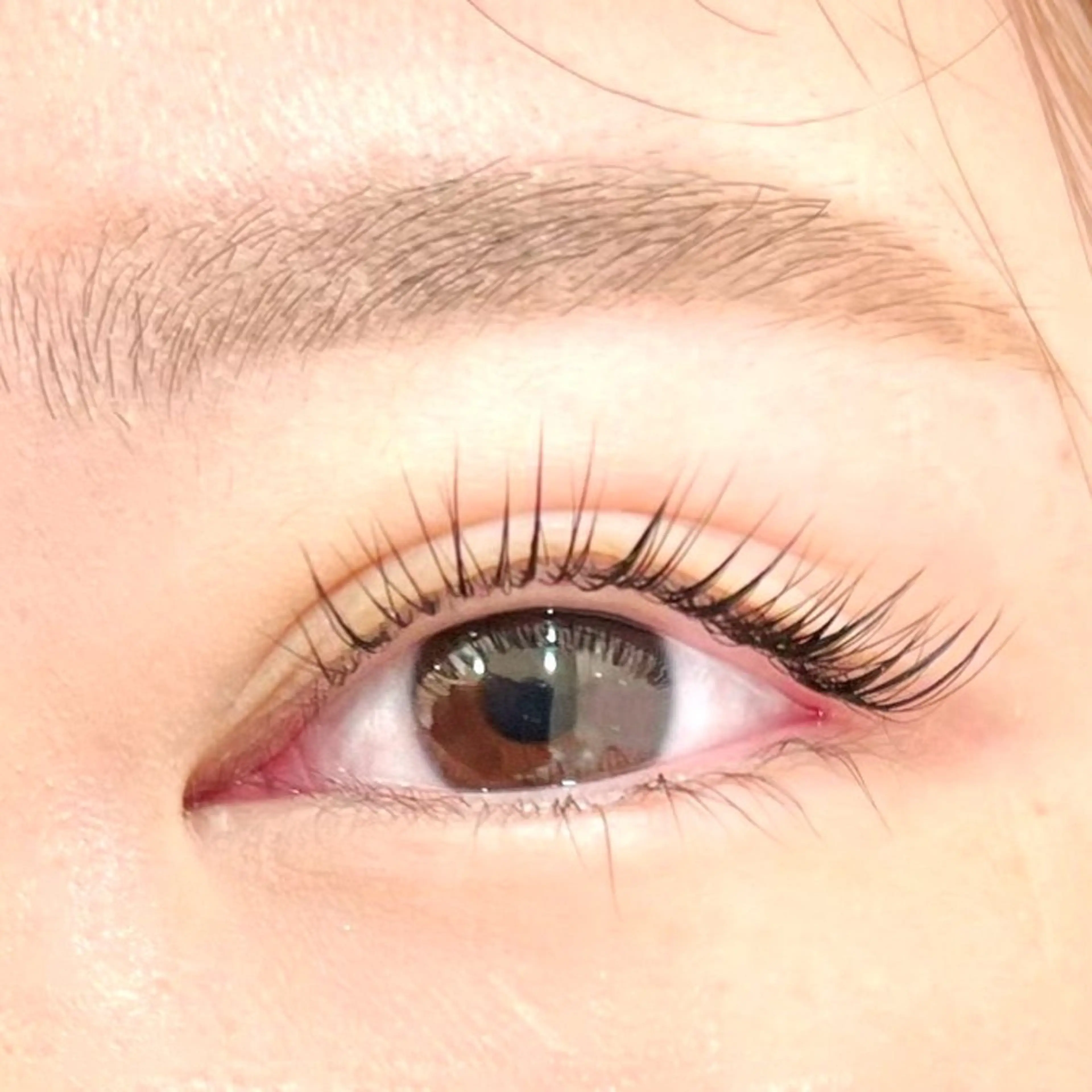 🐬初回オフ無料🐬シングルラッシュ120本まで(コーティング込)の写真