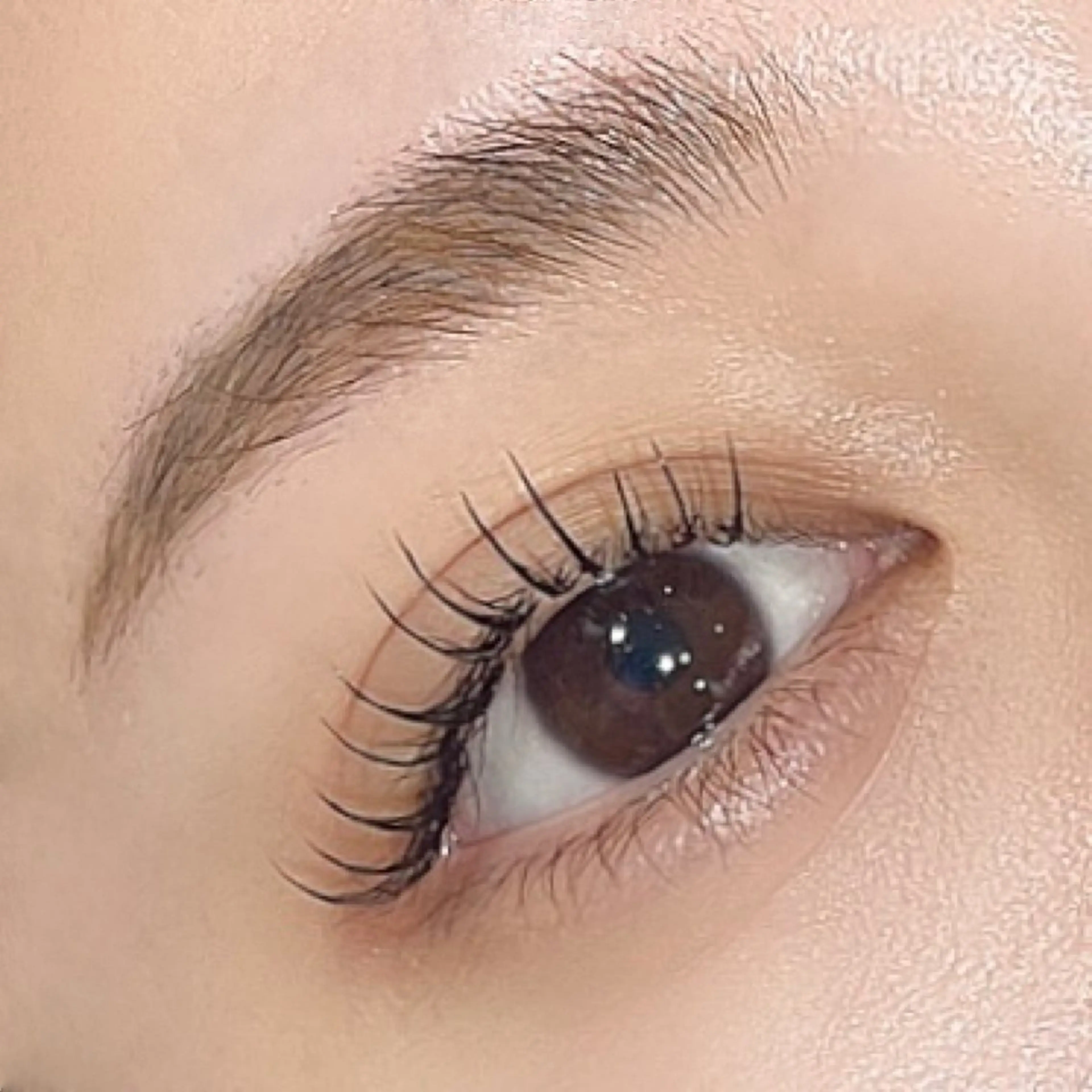 マツエク・マツパ マツエク 🎀Plaisir 《中野》 🎀マユのマツエク・マツパデザイン