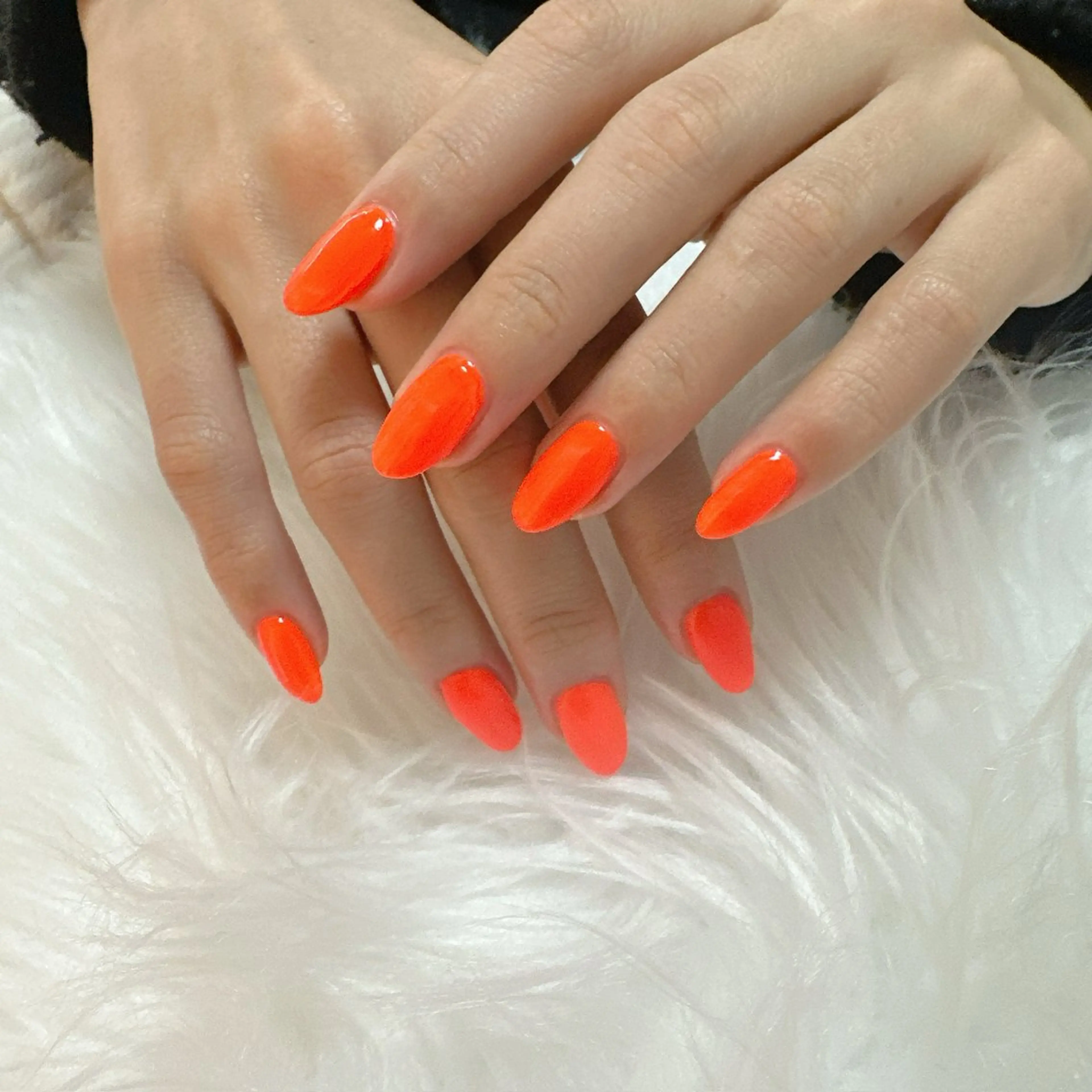 ネイル NailDoctor /CARNAのマツエク・マツパデザイン