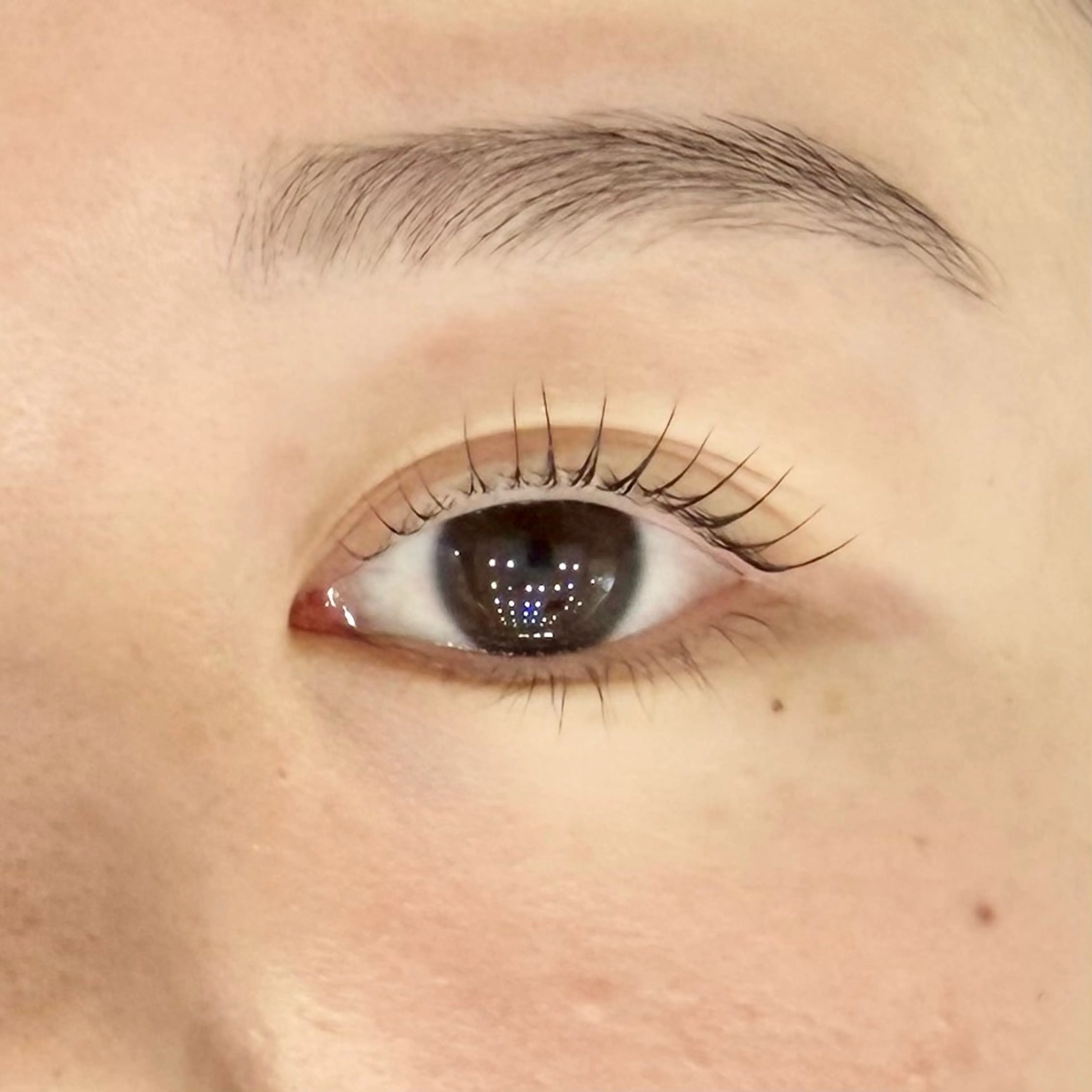 マツエク・マツパ マツパ eyeHbe TERAのマツエク・マツパデザイン