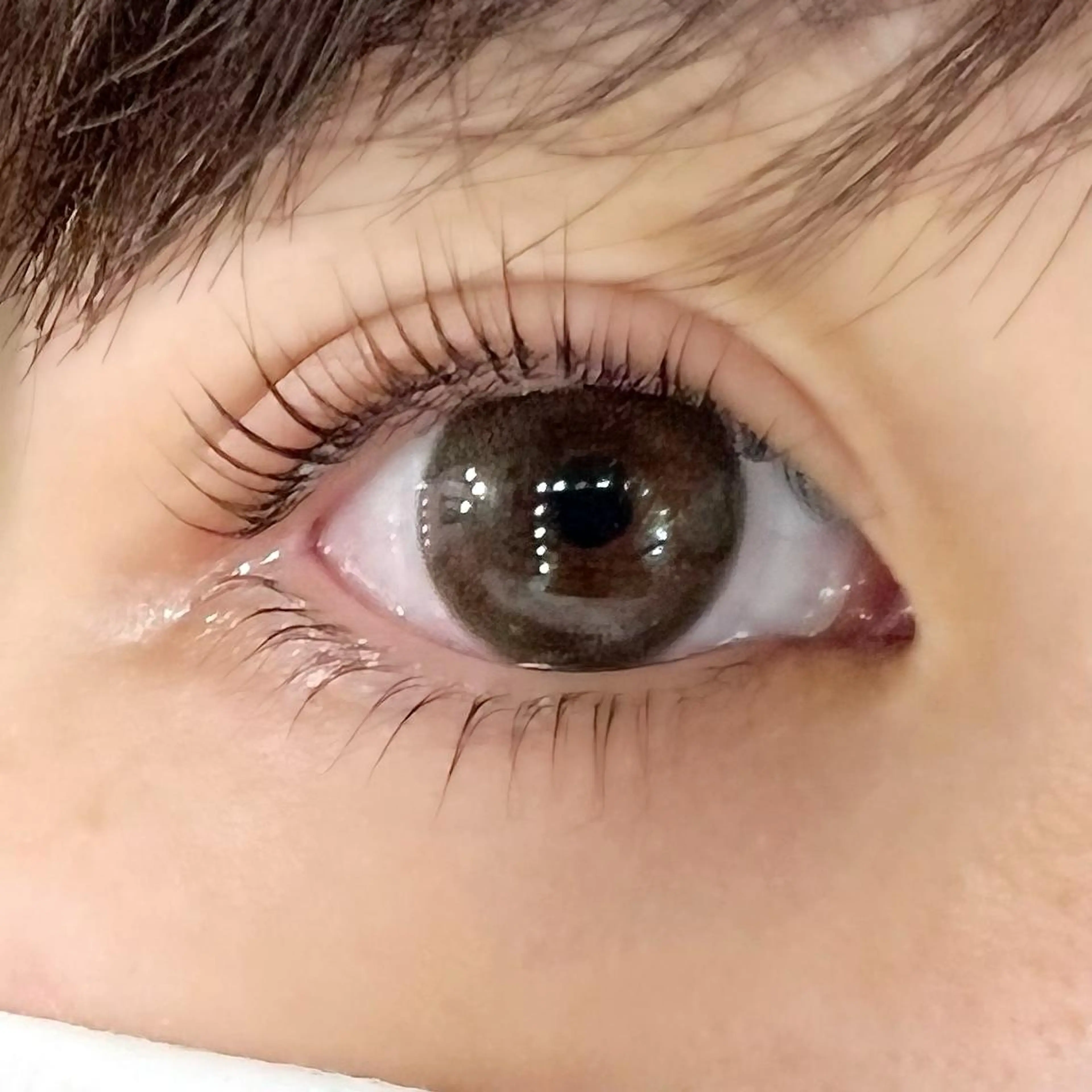 マツエク・マツパ パリジェンヌラッシュリフト Celeste Venus所属・🧸Celeste Venusのマツエク・マツパデザイン