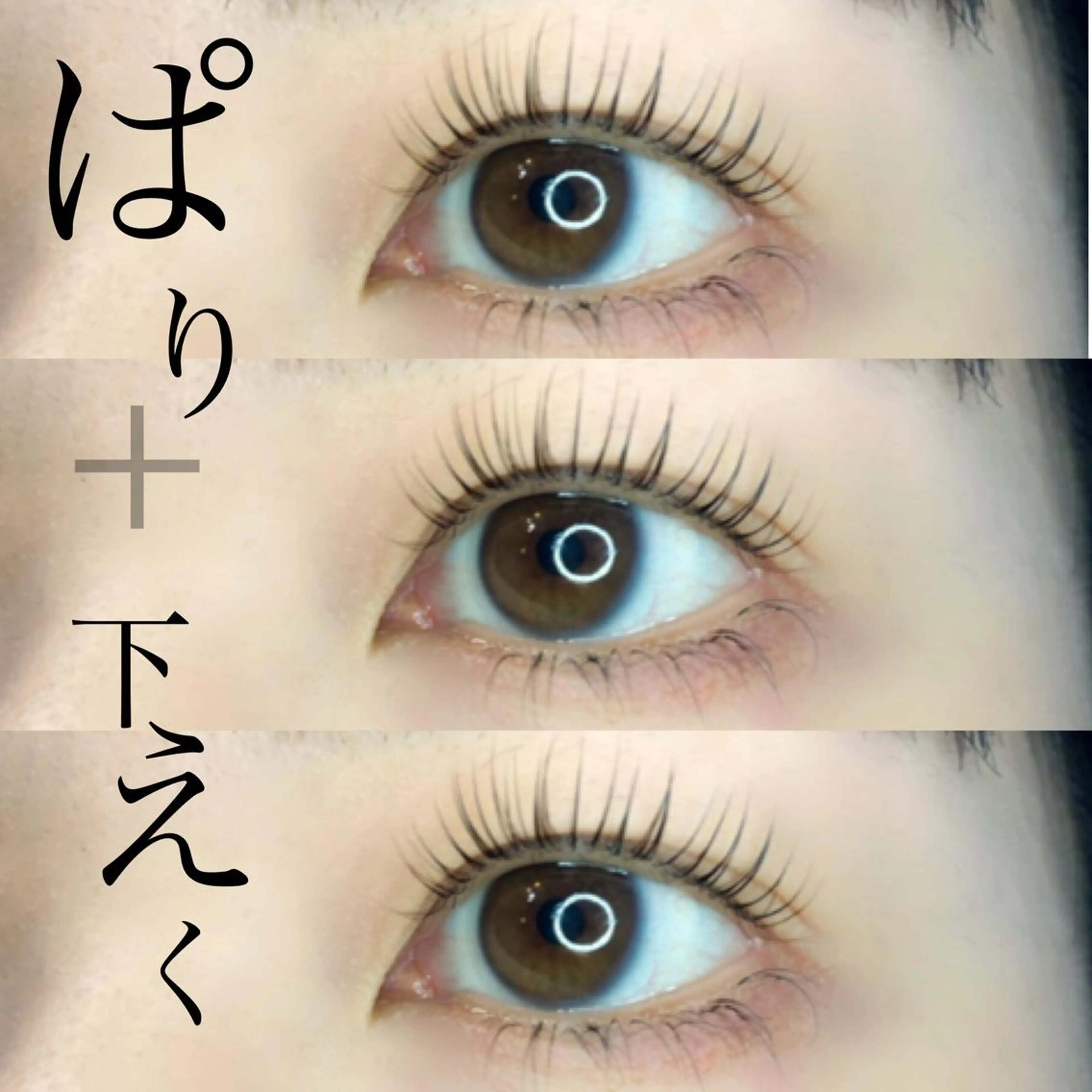 マツエク・マツパ 《eyelash ｉｉｔｅ》森のマツエク・マツパデザイン