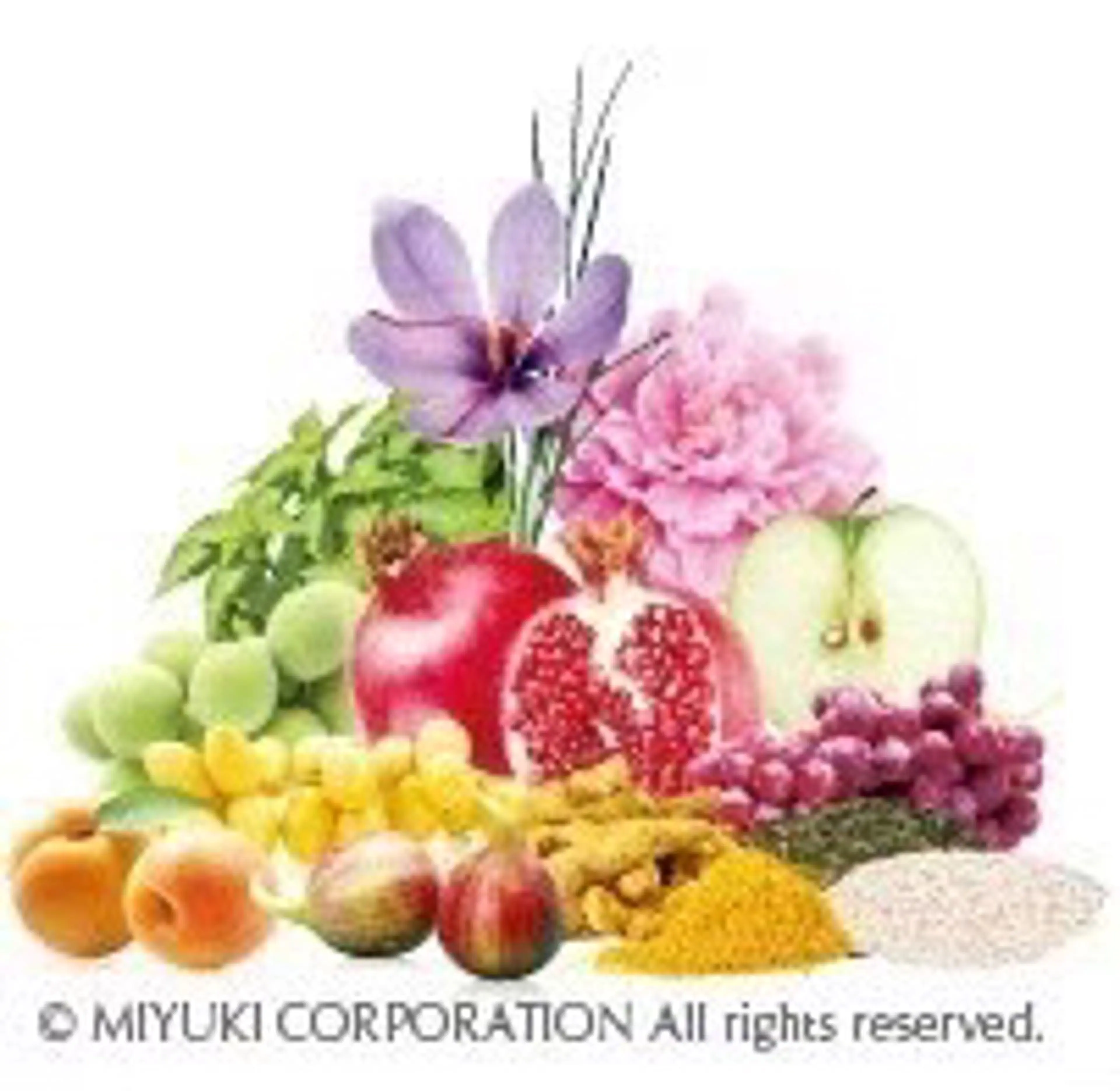 ジェルエステの写真