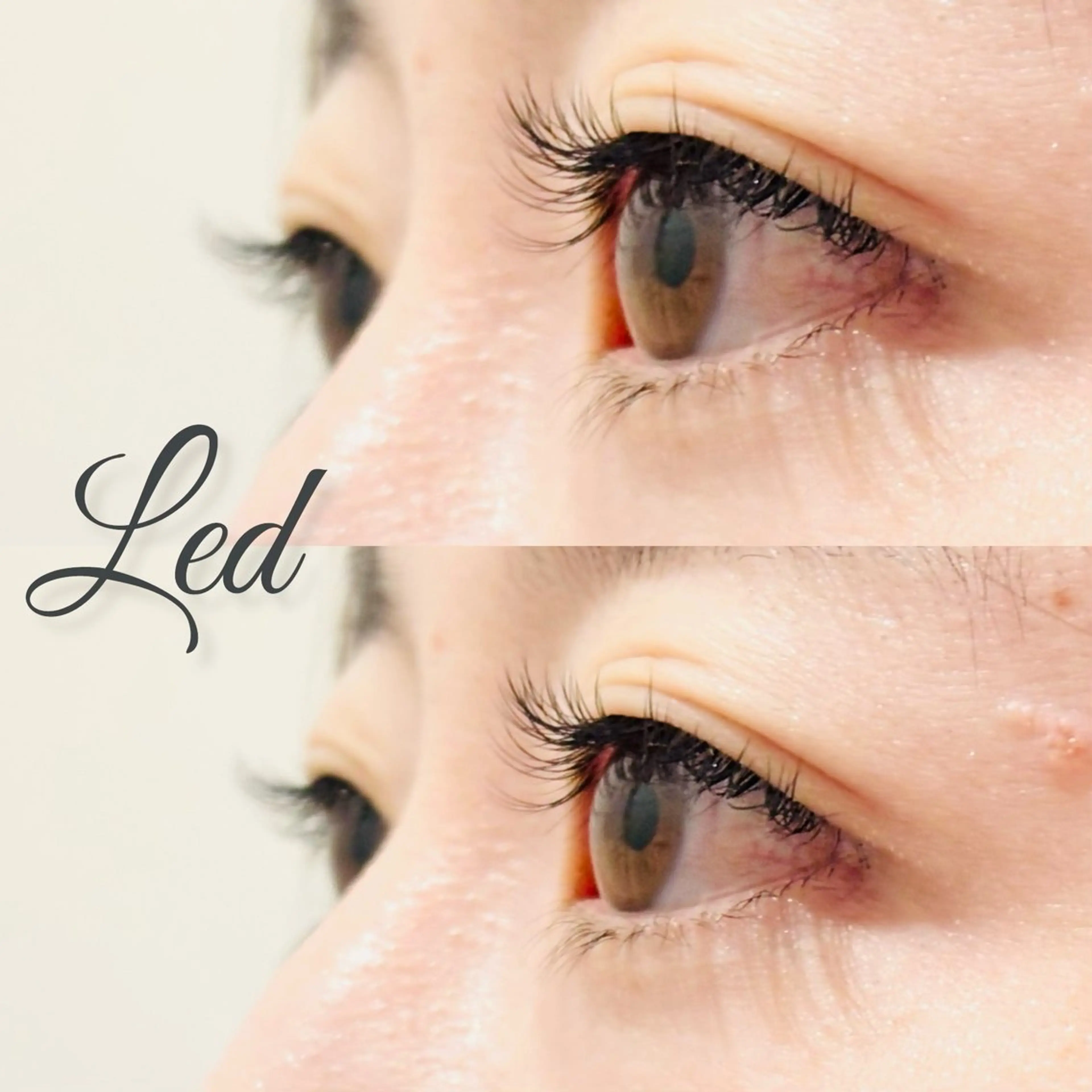 マツエク・マツパ 束感まつ毛 韓国風マツエク ミンク マツエク FOXY LASH Nakamuraのマツエク・マツパデザイン