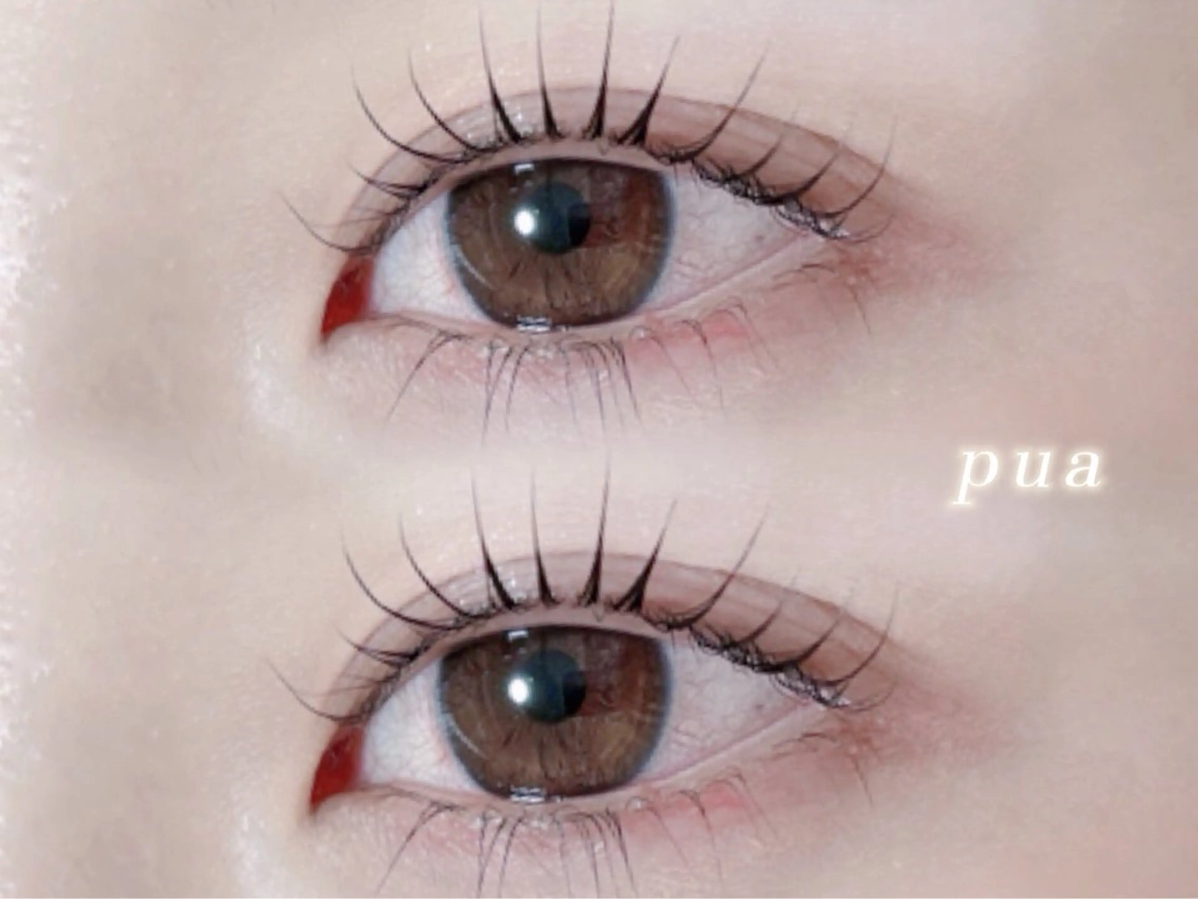 ご新規様価格🍒トレンド束間まつ毛・上下まつげパーマ￥4980の写真