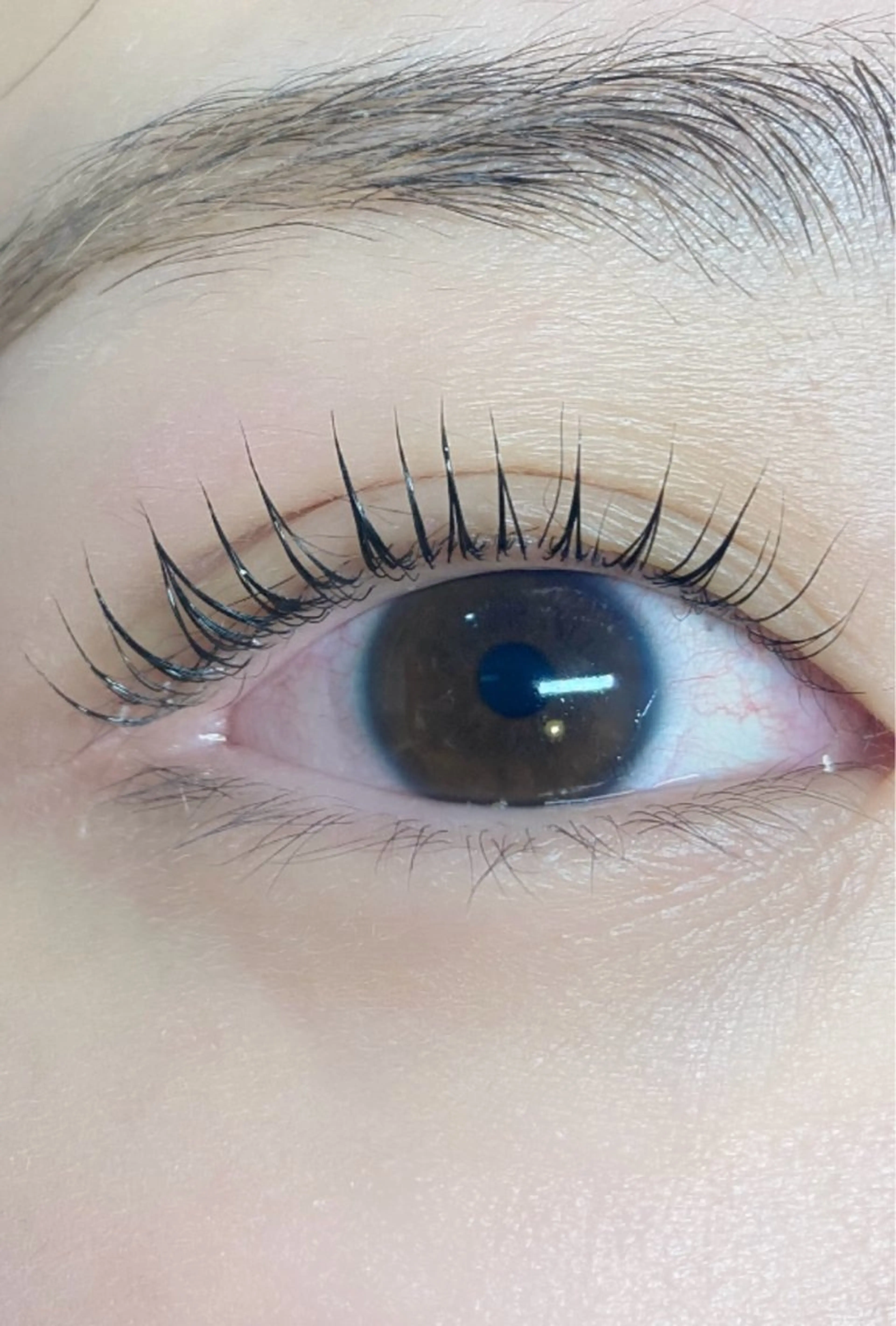 ラッシュリフトの写真