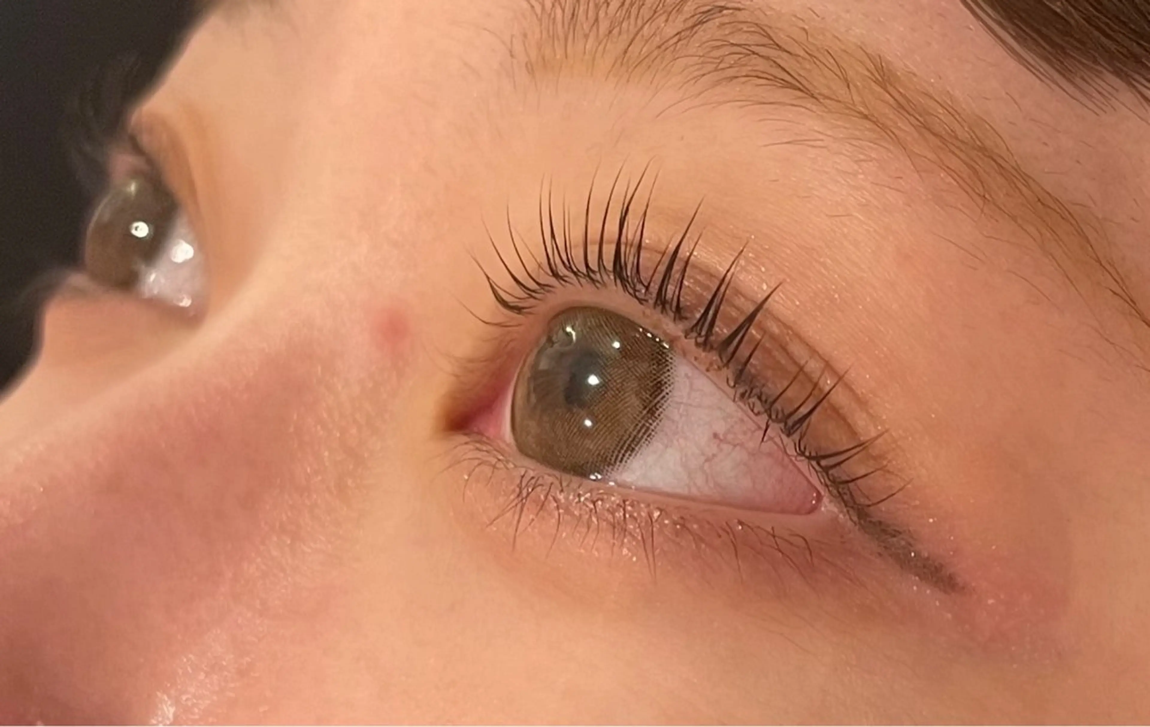 上まつげパーマ👀✨コーティング仕上げ【オフなし】の写真