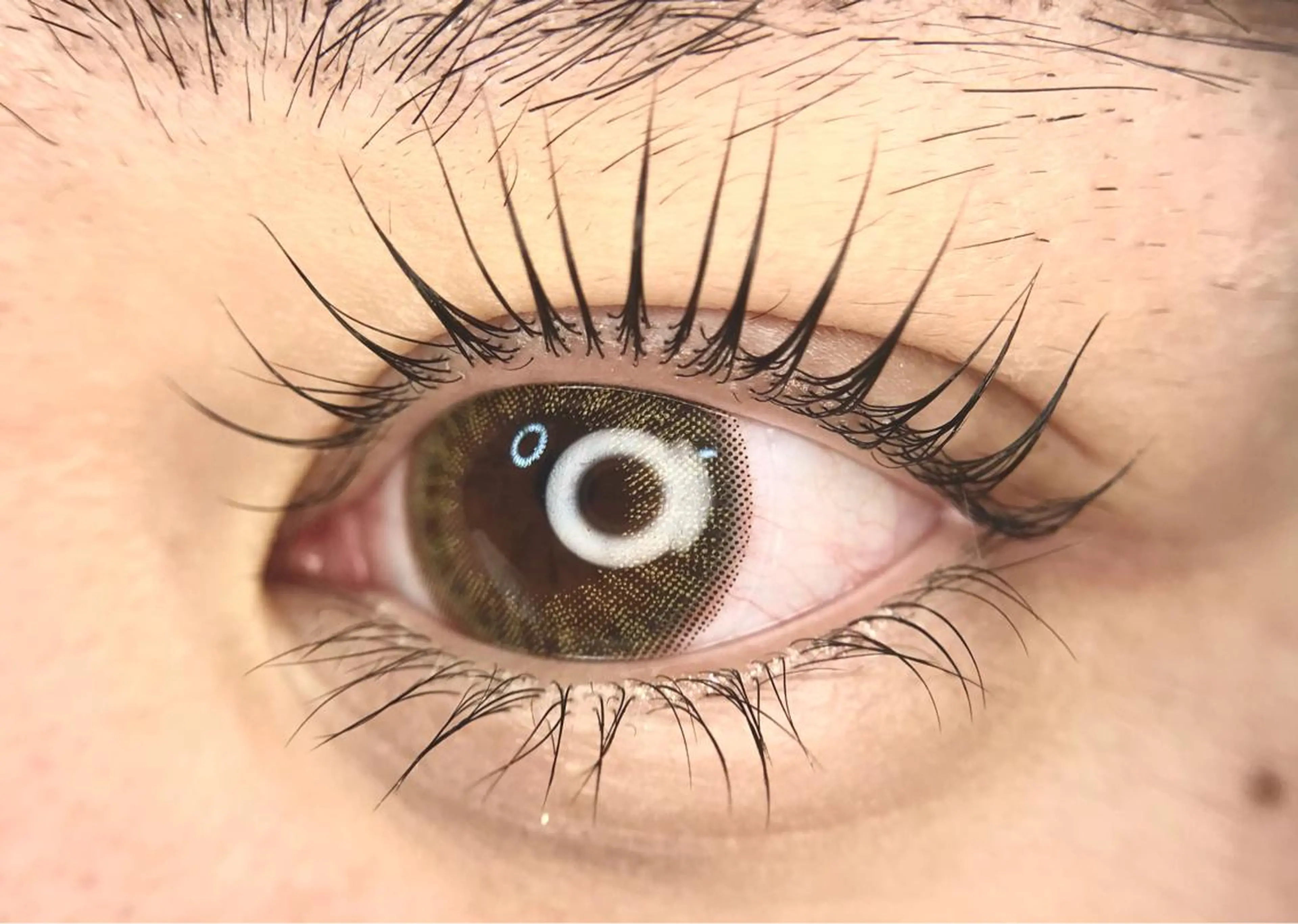 ⭐️新規のみモニター⭐️パリジェンヌラッシュ⭐️トリートメント付き‼️予約完了後アプリのメッセージ返信必須です🙇‍♀️の写真