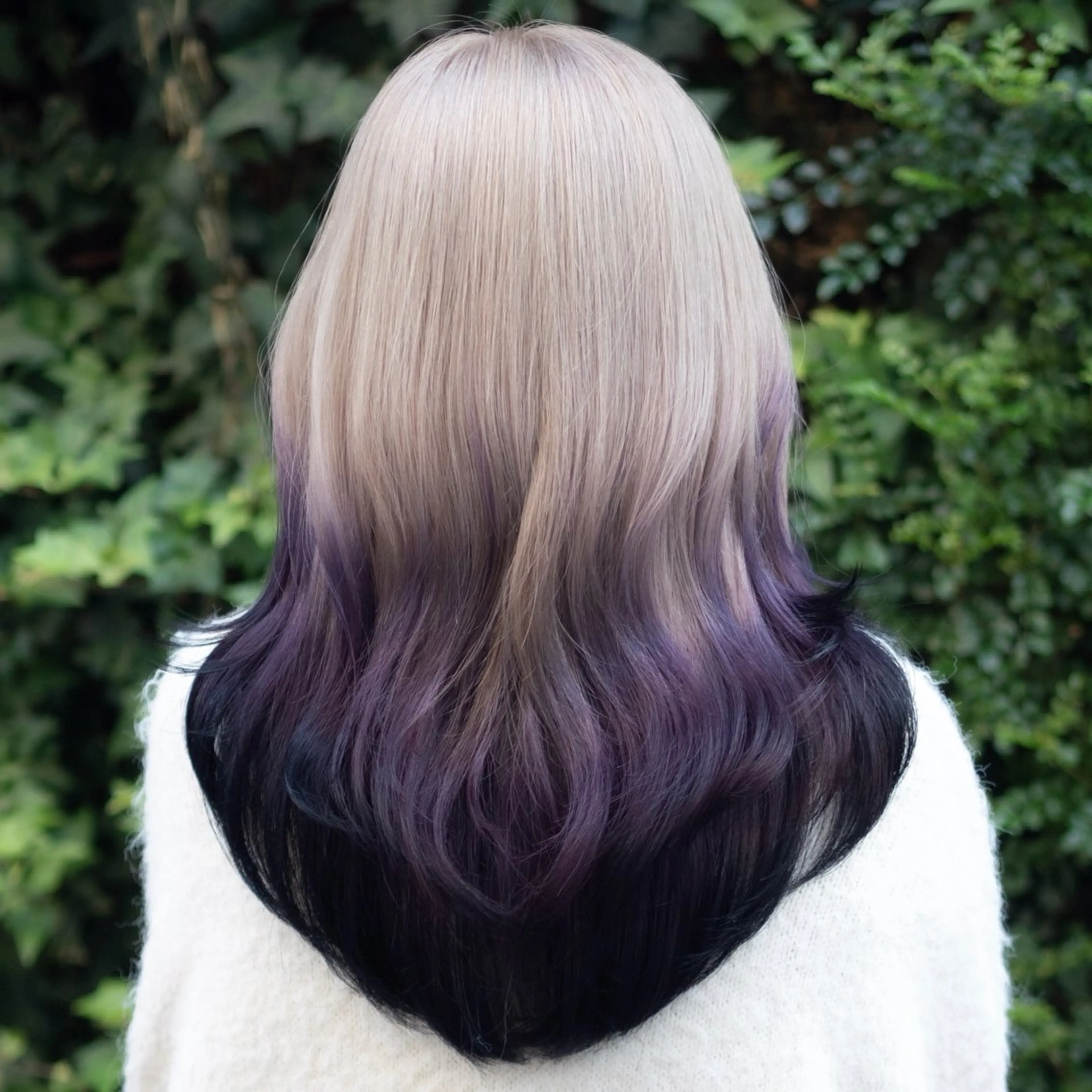 カラー ヘアカラー ウルフとデザイン カラーの神のヘアスタイル