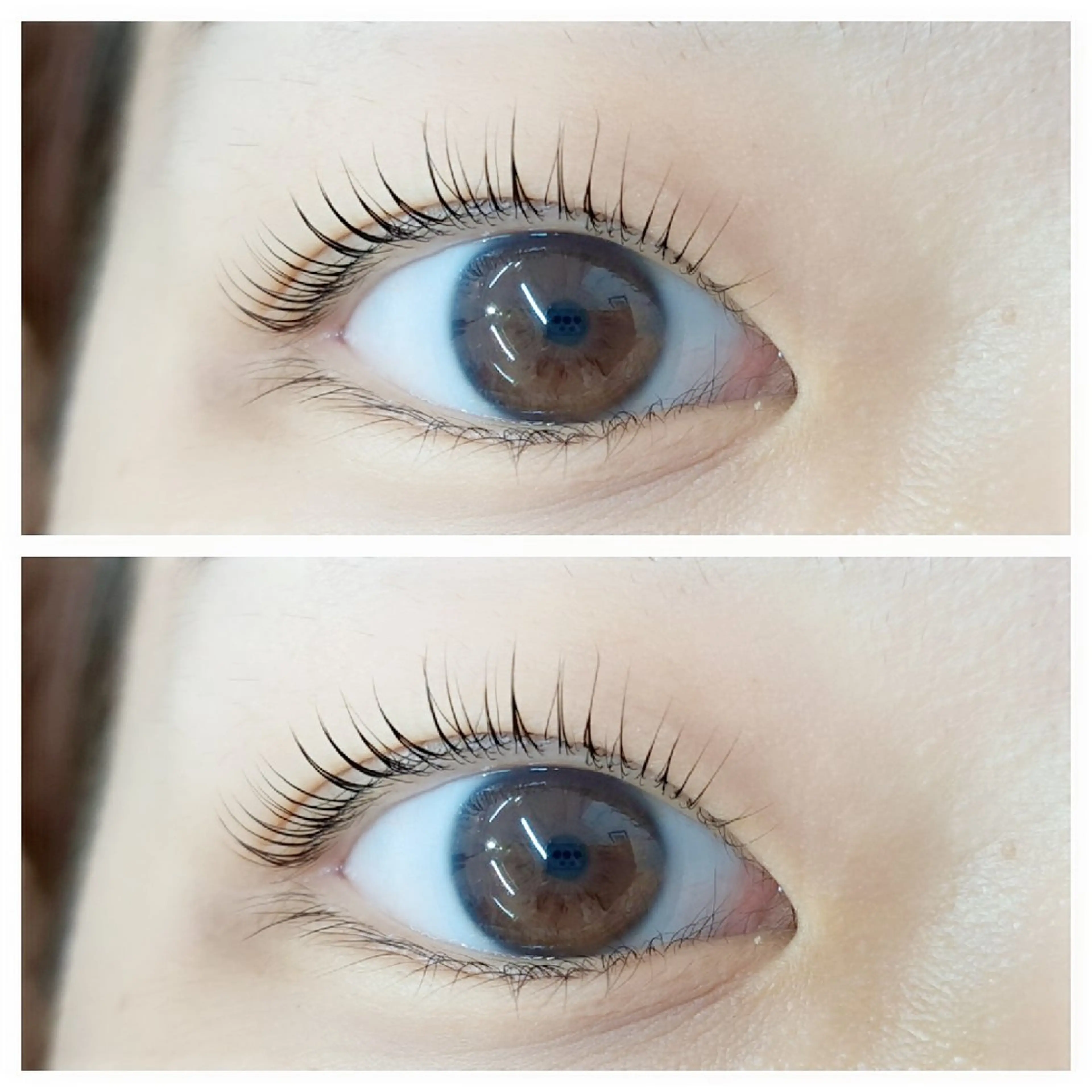 マツエク・マツパ cocolash　町屋店所属・cocolash 🧸のマツエク・マツパデザイン