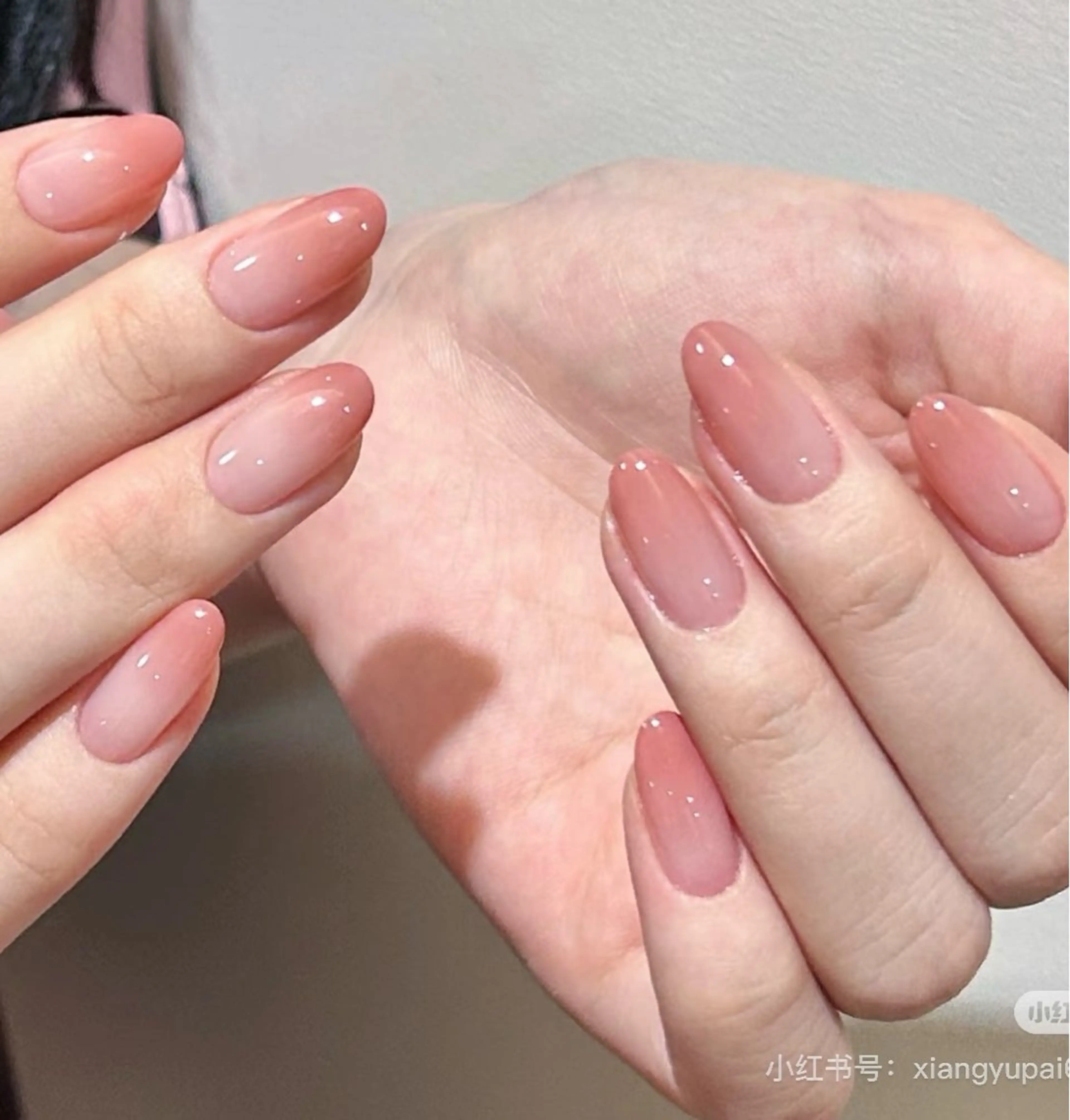 カラーグラデーションの写真