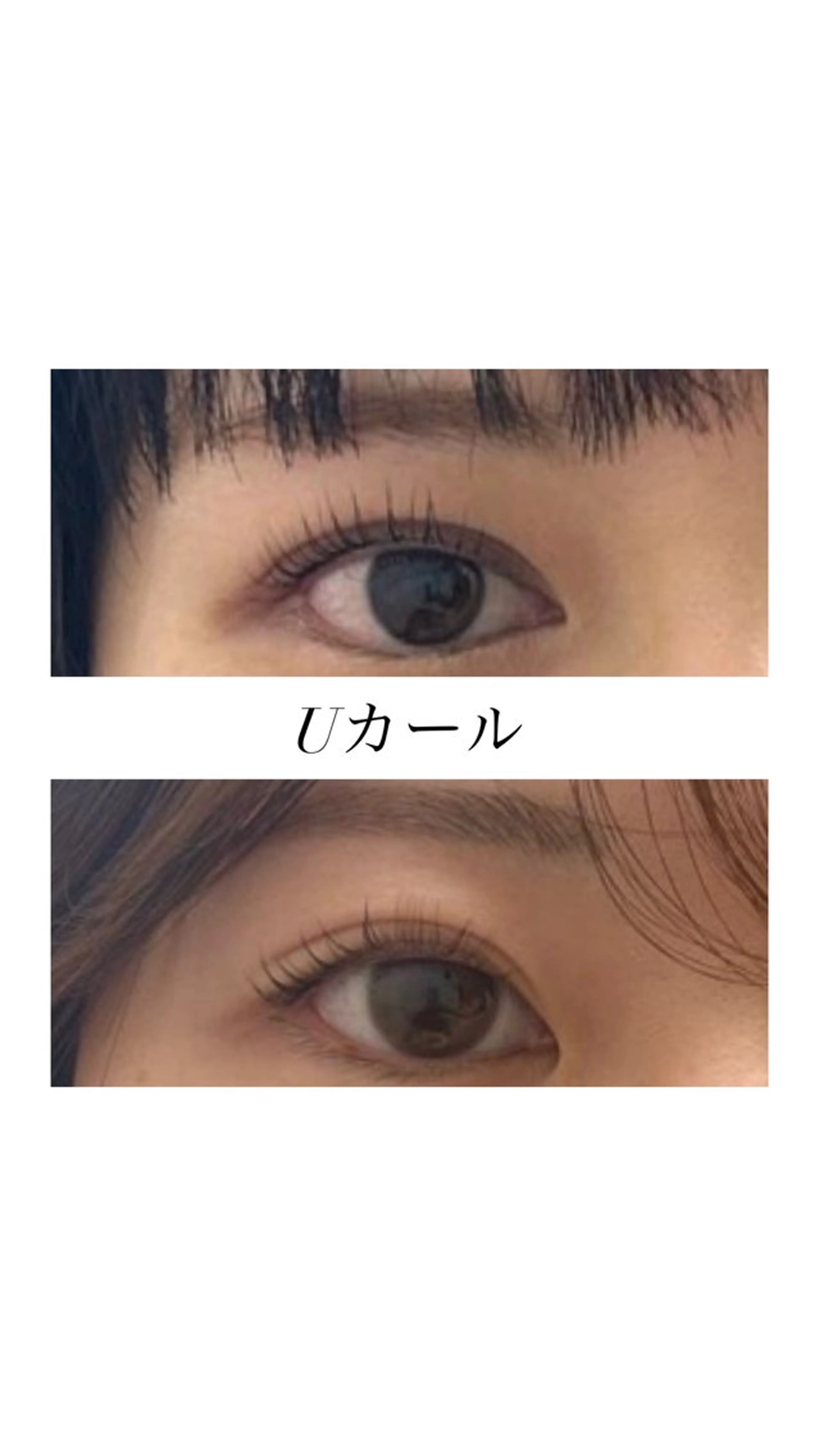 6/18 限定 Uカール🩶【エクステオフなし】 自然なカール感の写真