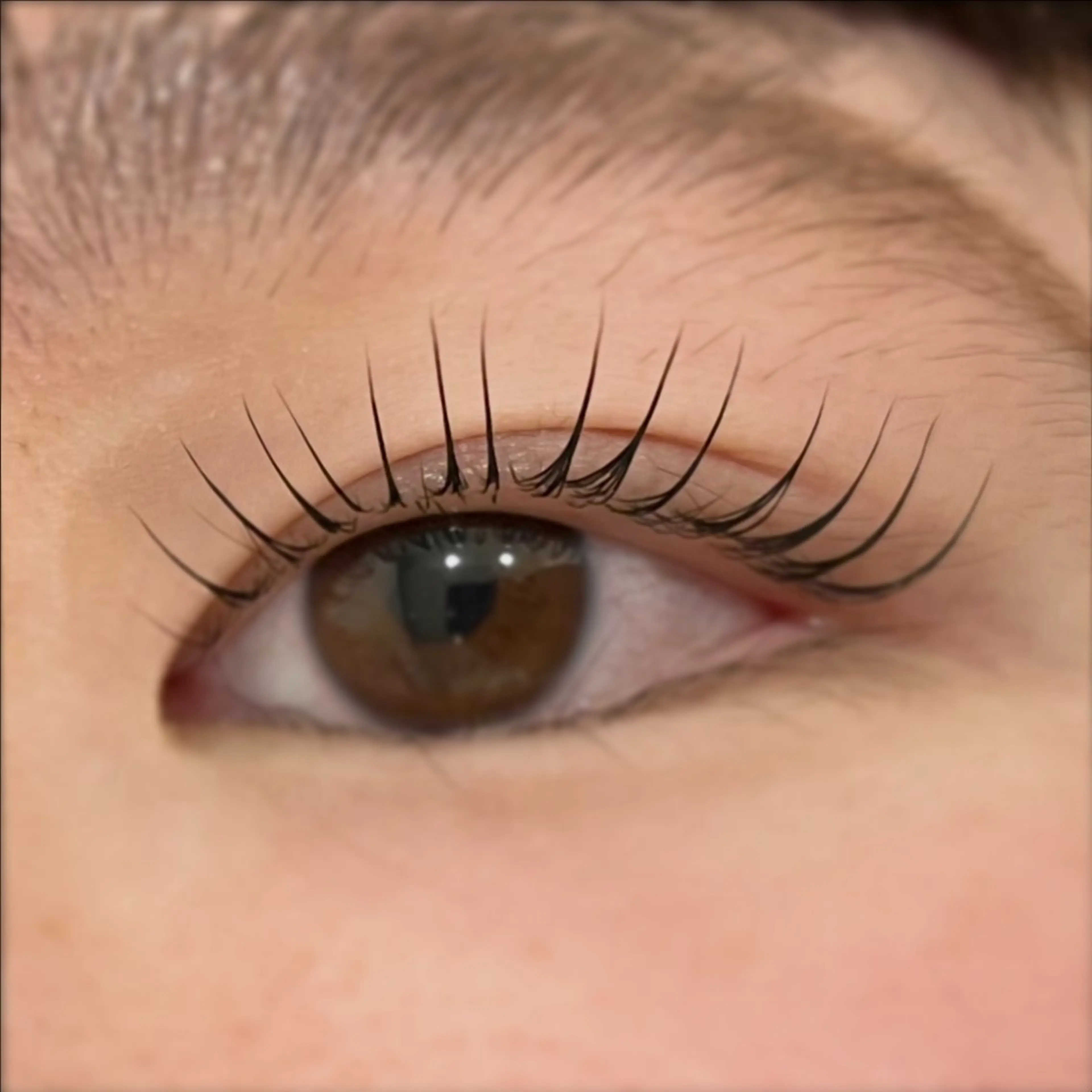 マツエク・マツパ マツパ eyelist Kumiのマツエク・マツパデザイン