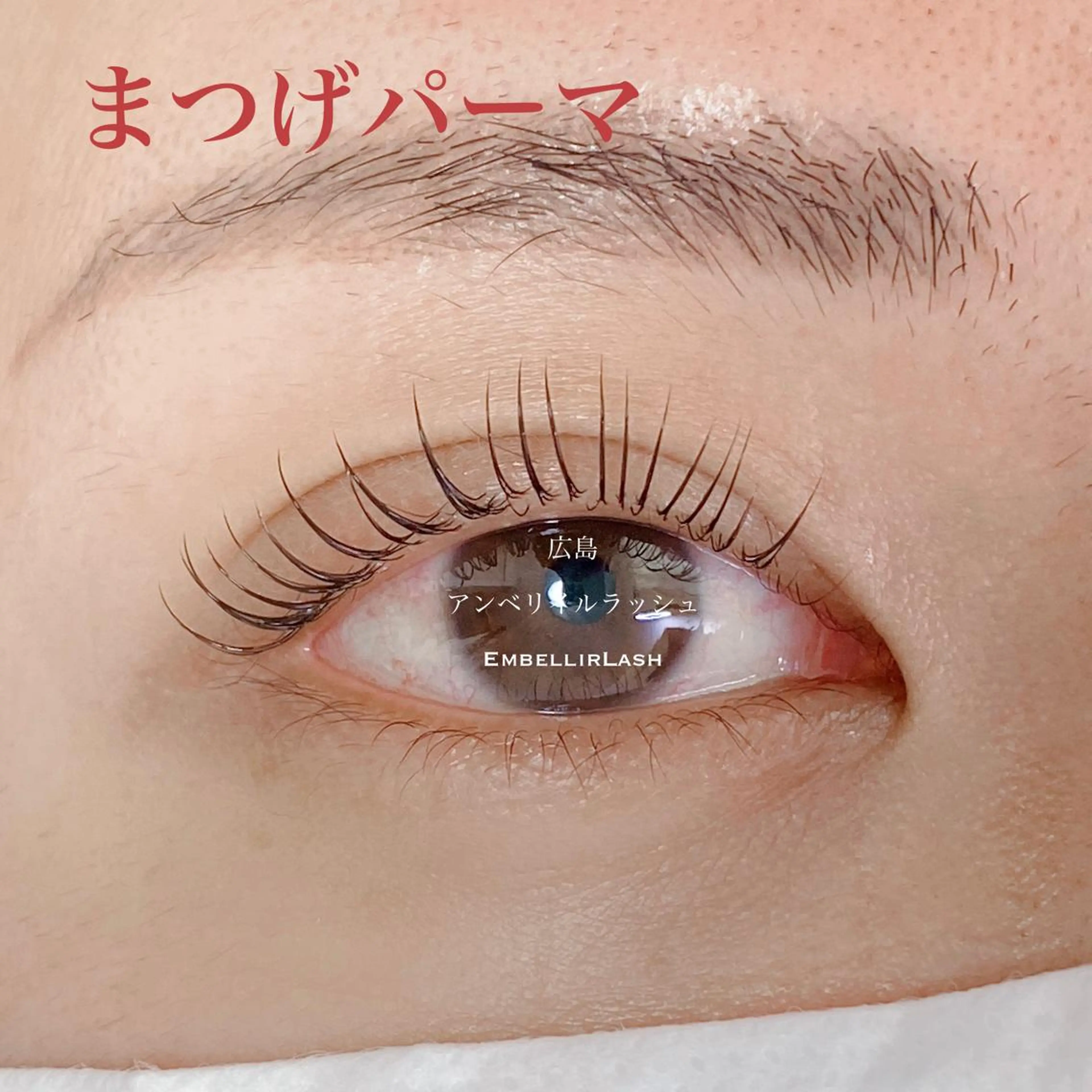 マツエク・マツパ ケラチンラッシュリフト パリジェンヌラッシュリフト まつげパーマ 一重×まつ毛パーマ アンベリイルラッシュ所属・まつエク・パーマ アンベリイルラッシュのマツエク・マツパデザイン