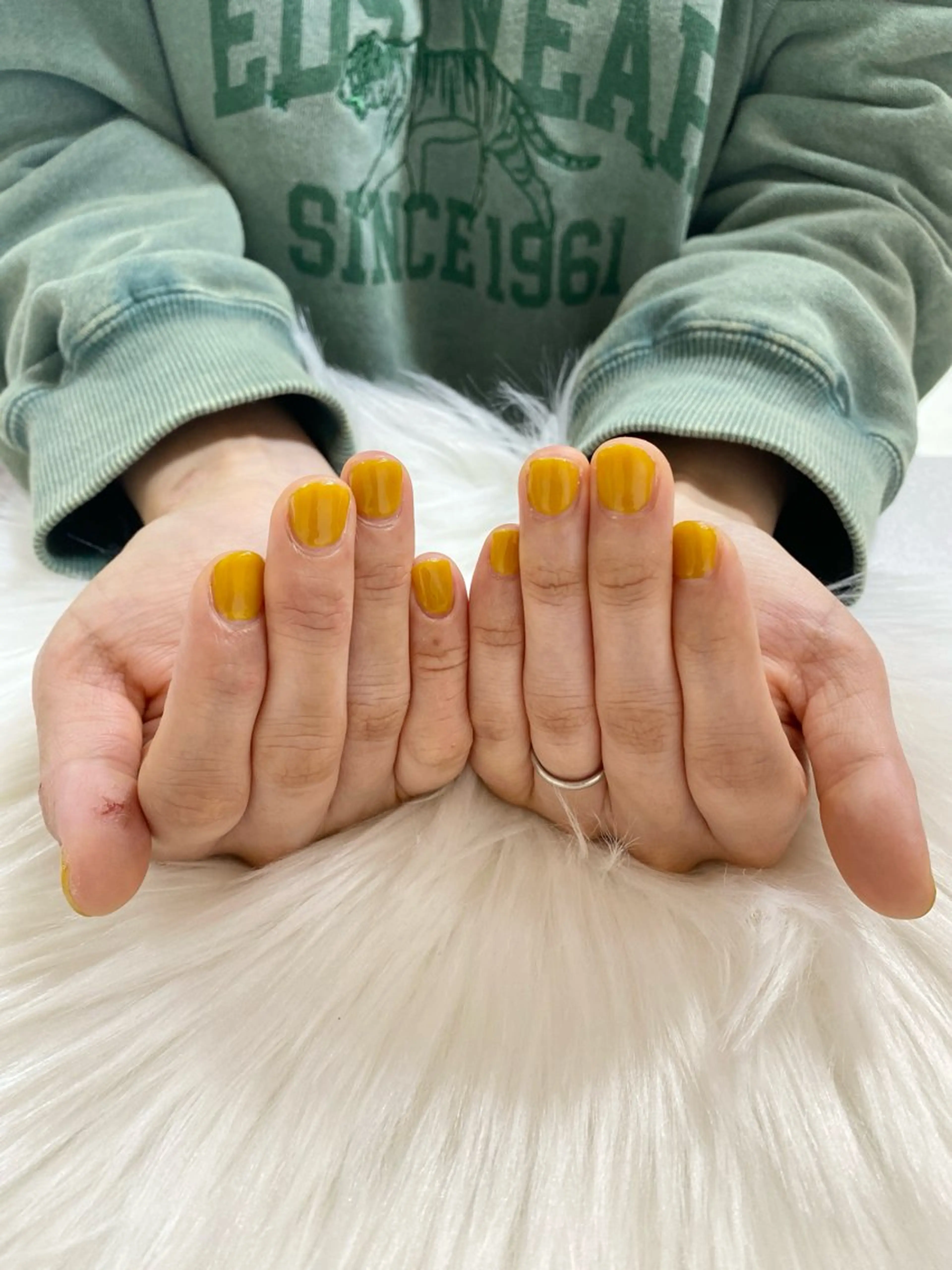 【オフなし】ジェル ワンカラーの写真