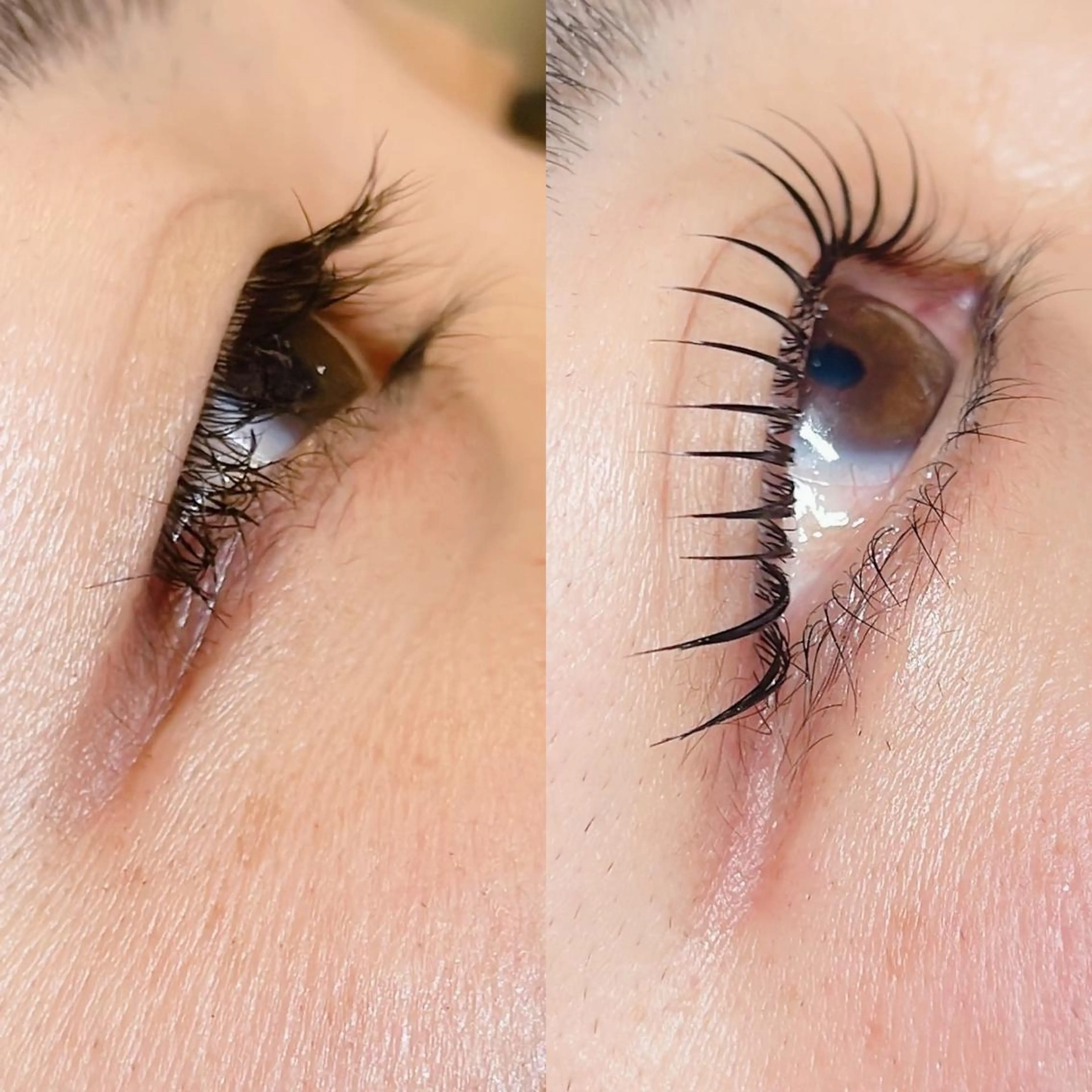 マツエク・マツパ ケラチンラッシュリフト ロニセラ アイラッシュのマツエク・マツパデザイン