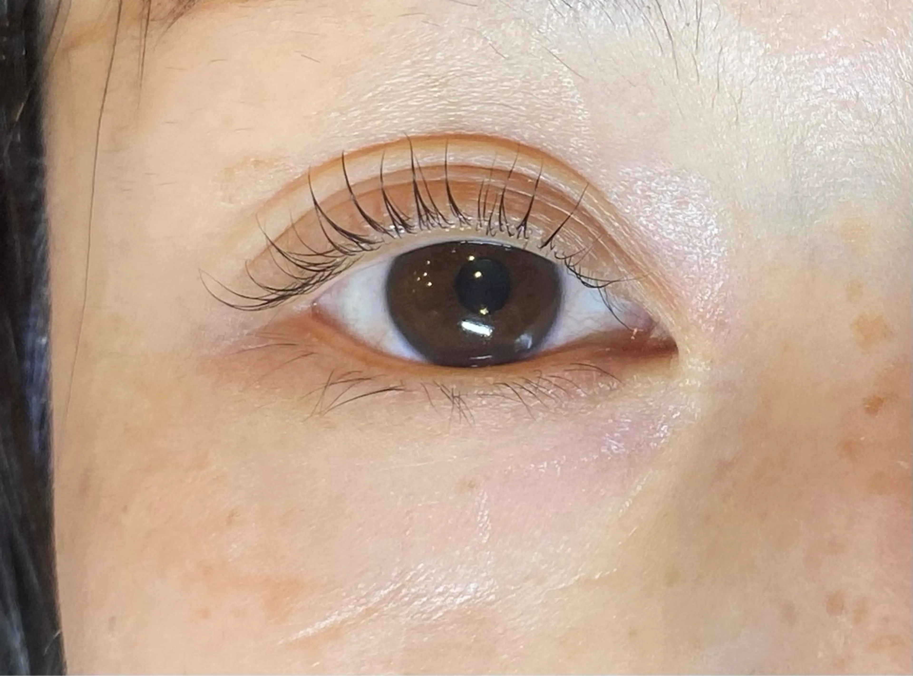 マツエク・マツパ まつげパーマ Daisy lash 京橋店堀井のマツエク・マツパデザイン