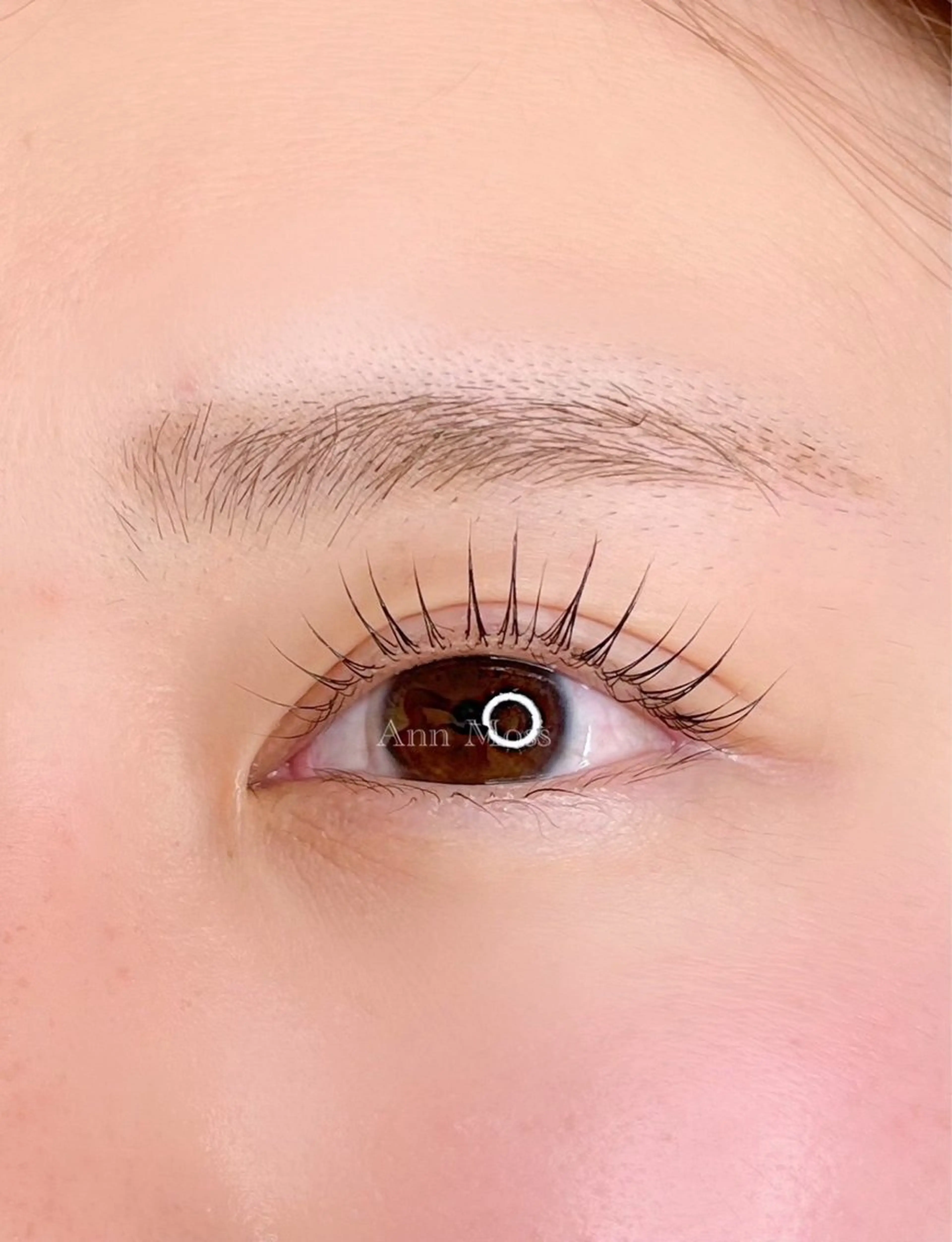 ミニモ限定🌿OPEN記念価格【自まつ毛改善】最先端ラッシュリフト(上)+ケラチンTR¥8,000→¥4,940の写真