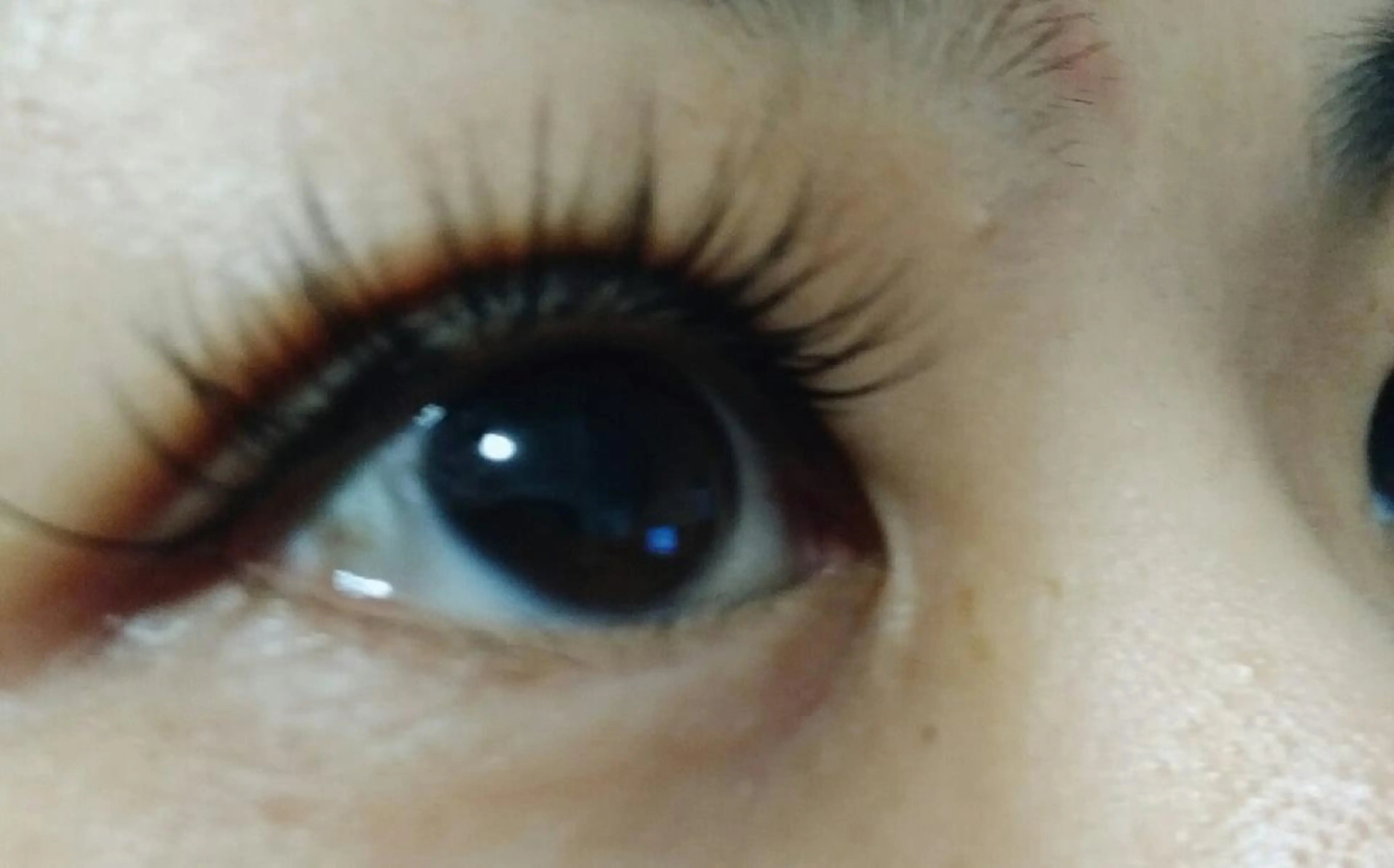 マツエク・マツパ Jカール 目尻長め ClatisseMavie所属・Clatisse Mavieのエステ・リラクイメージ