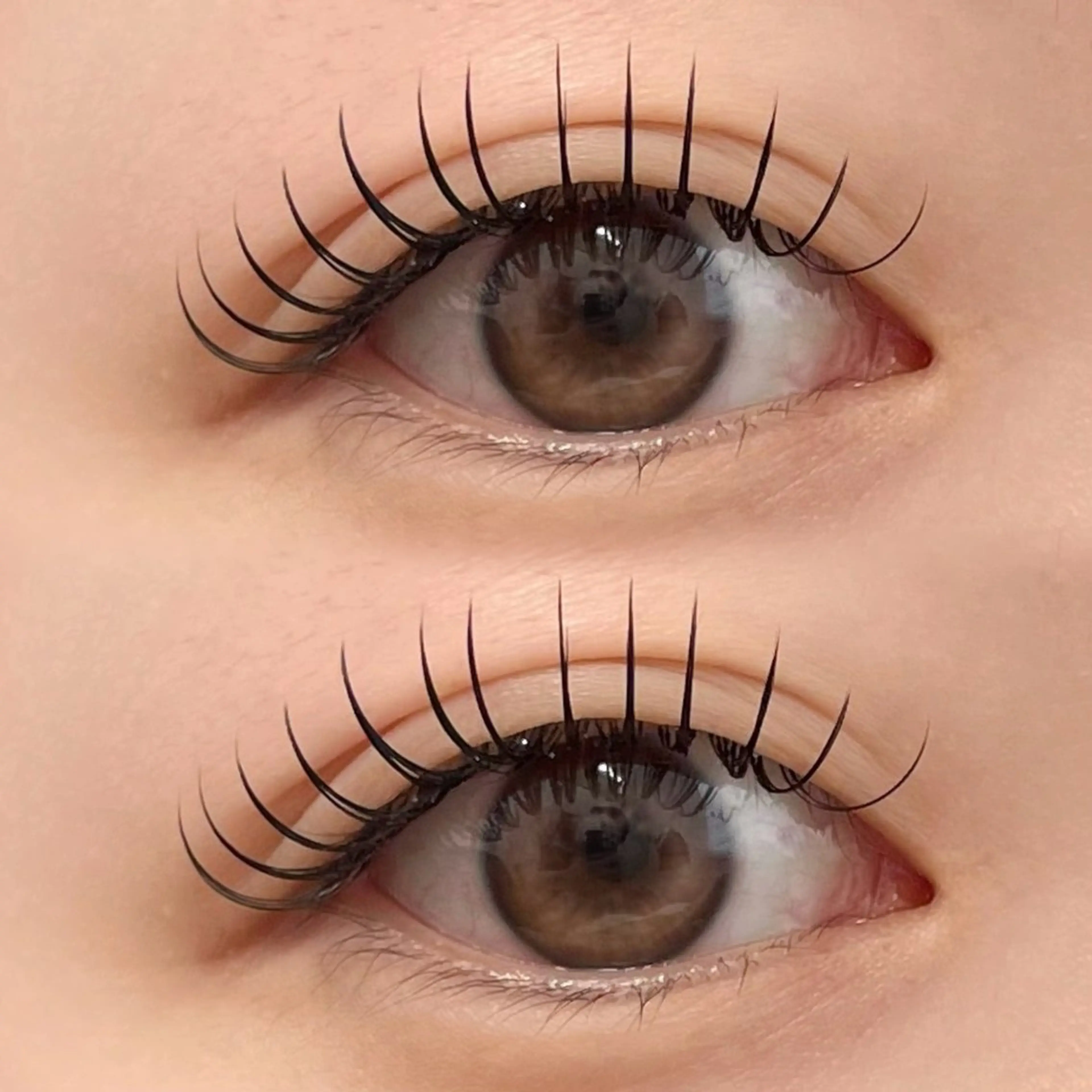 【人気Curl】 Lカール 💕 フラットラッシュ100-120本の写真