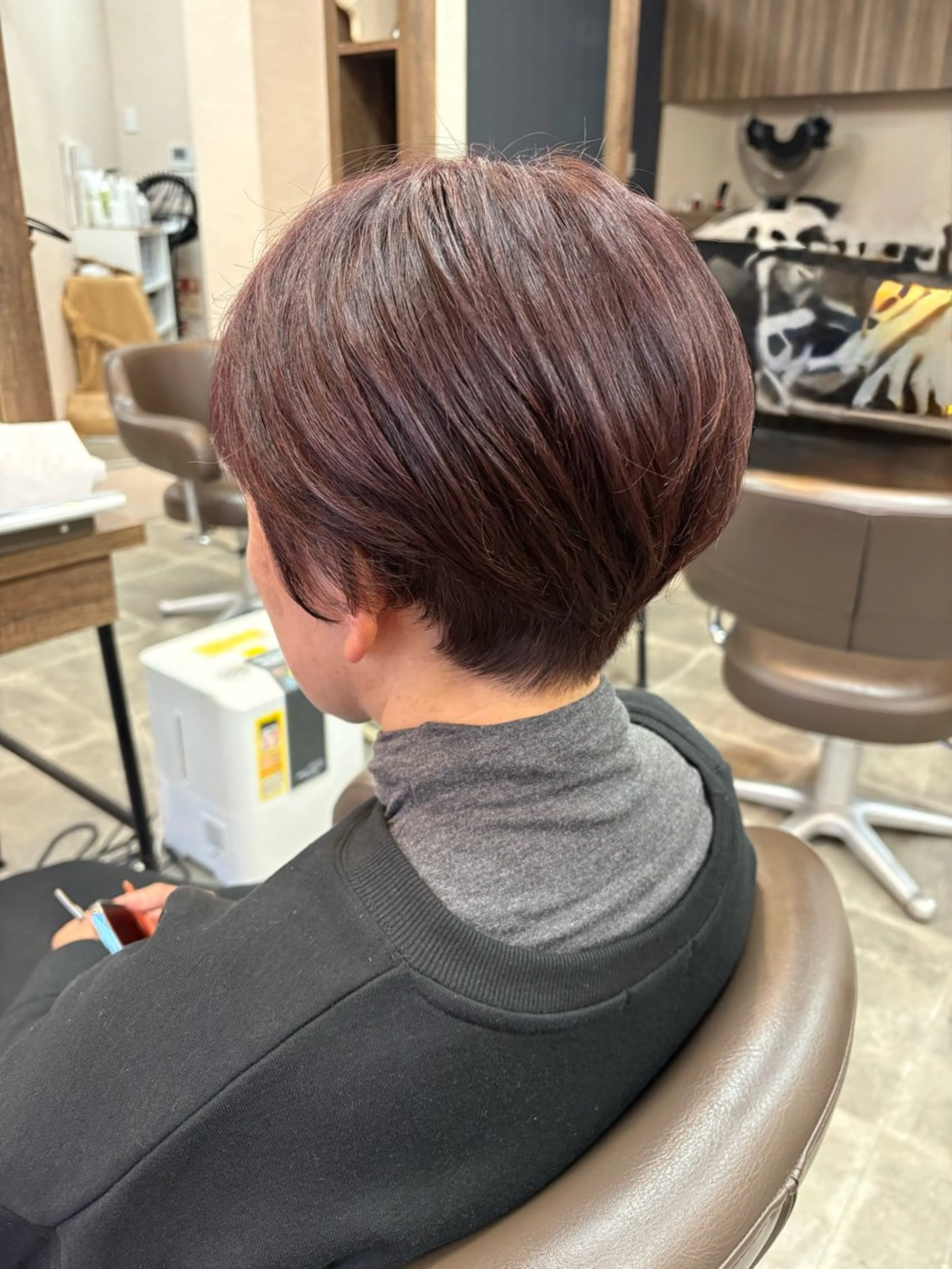 ショート カット ヘアカラー 野崎  由理のヘアスタイル