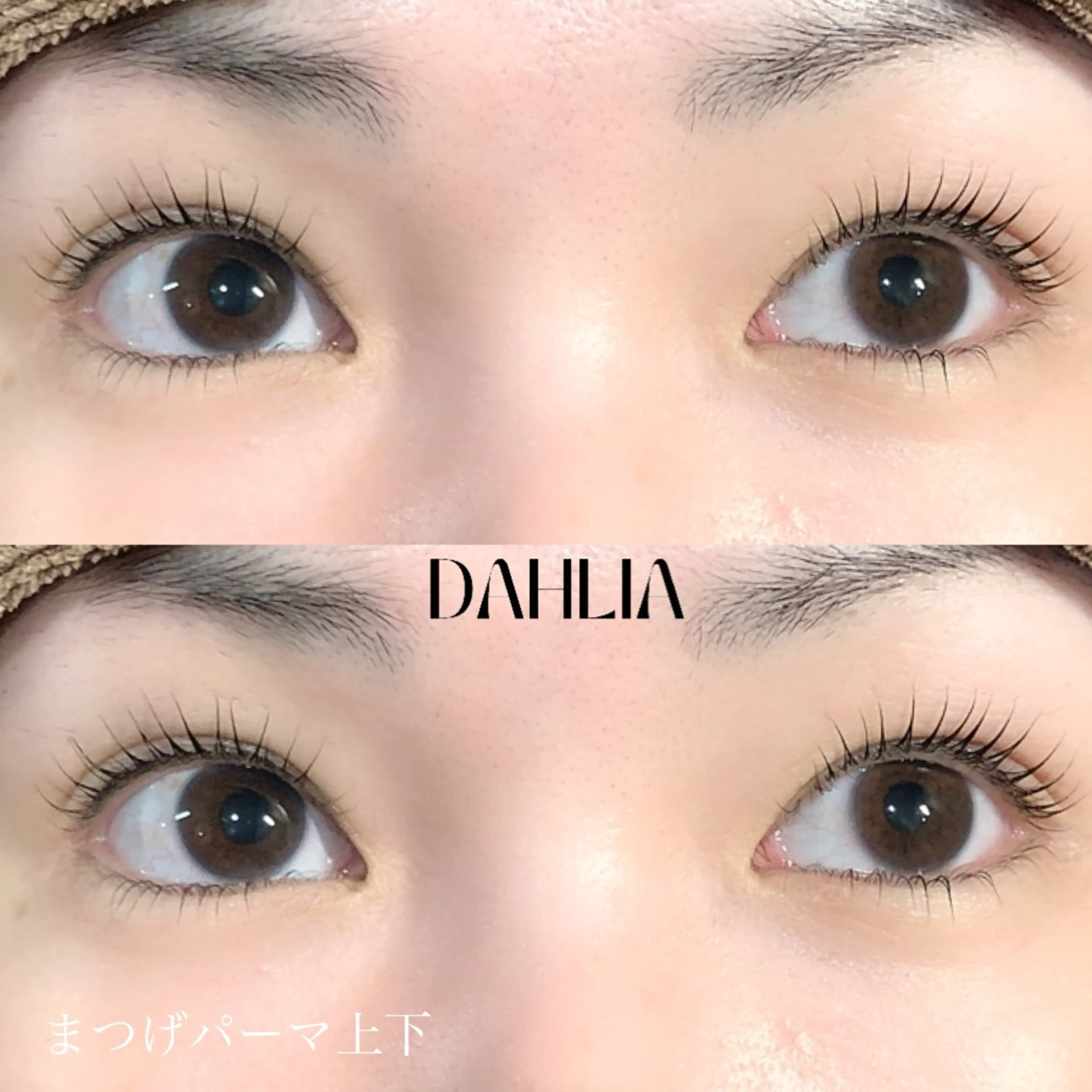 マツエク・マツパ まつげパーマ Dahliaダリア 斉藤のマツエク・マツパデザイン
