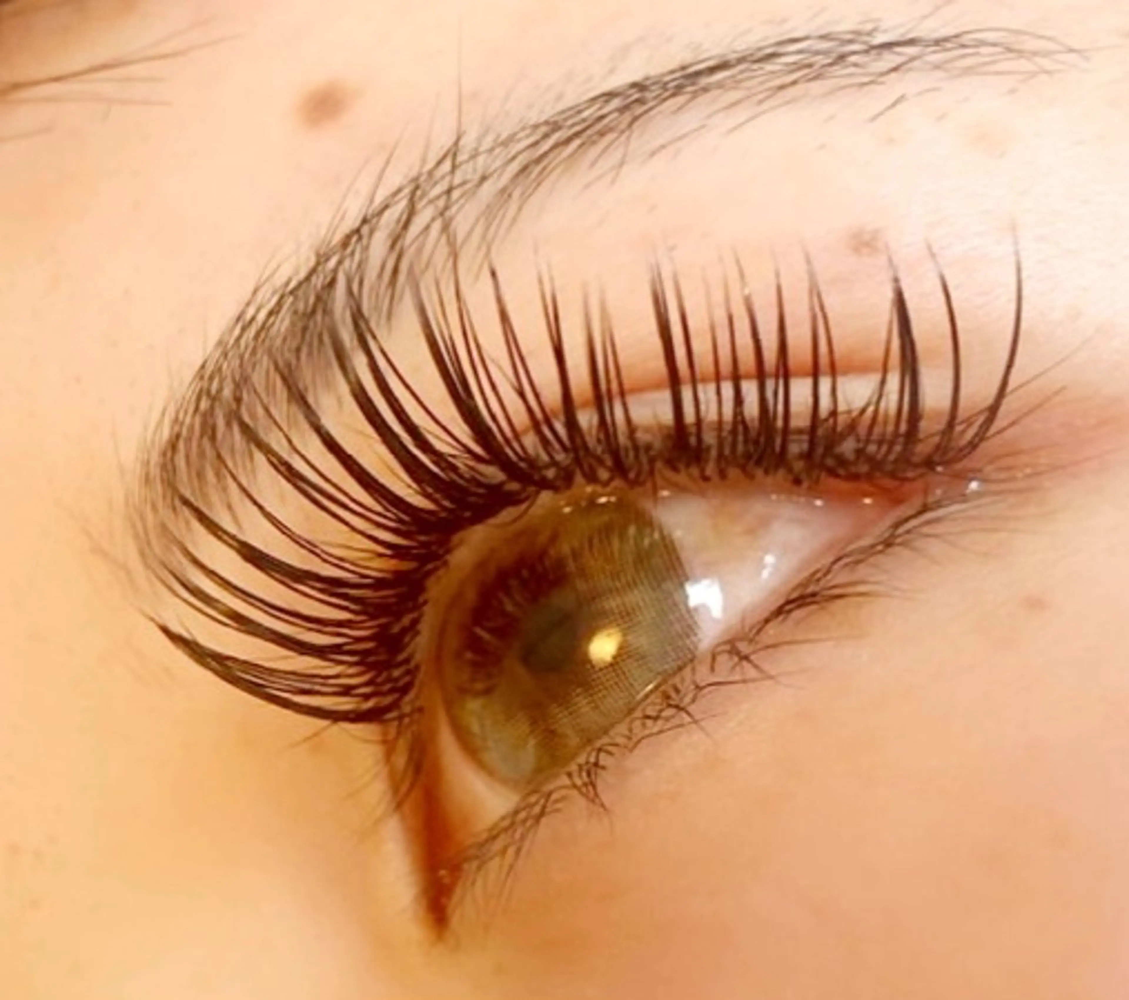 👑フラットラッシュ150本迄￥3550‼️(オフ/アイシャン/コーティング付)👑カールJCDL/長さ8㎜～15㎜の写真