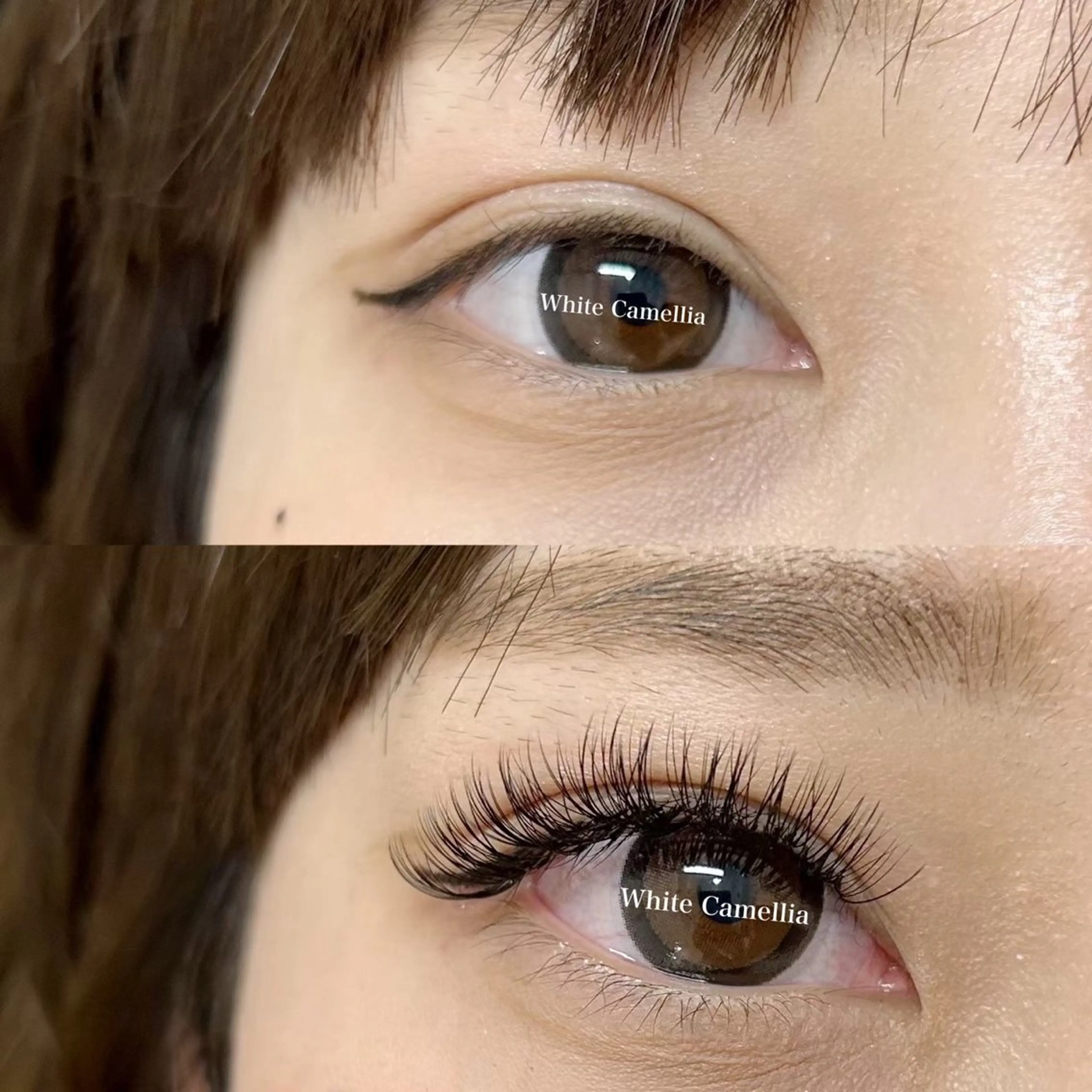 マツエク・マツパ 椿 優奈のマツエク・マツパデザイン