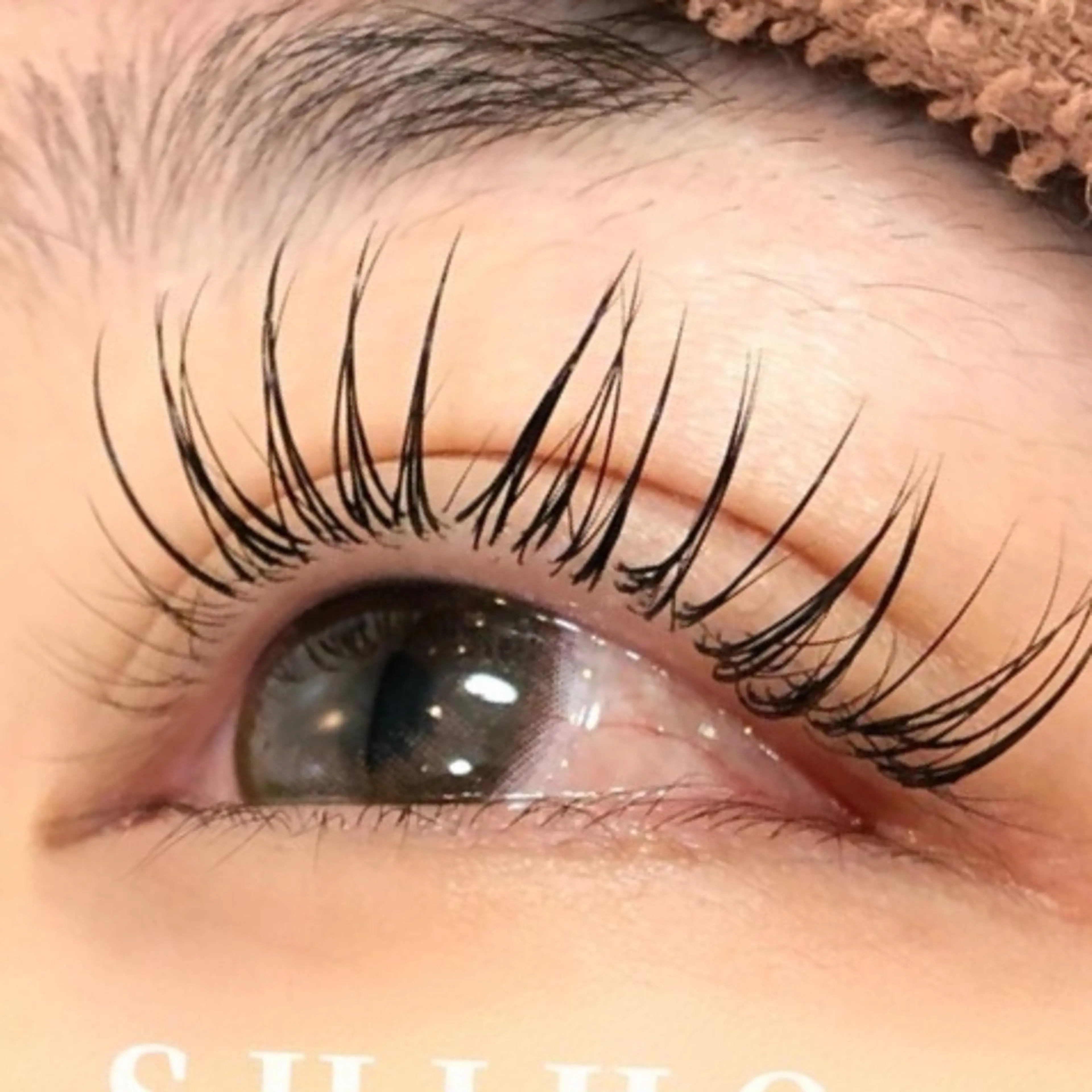 マツエク・マツパ 束感まつぱ🥑🤍 NATUKI🤍のマツエク・マツパデザイン