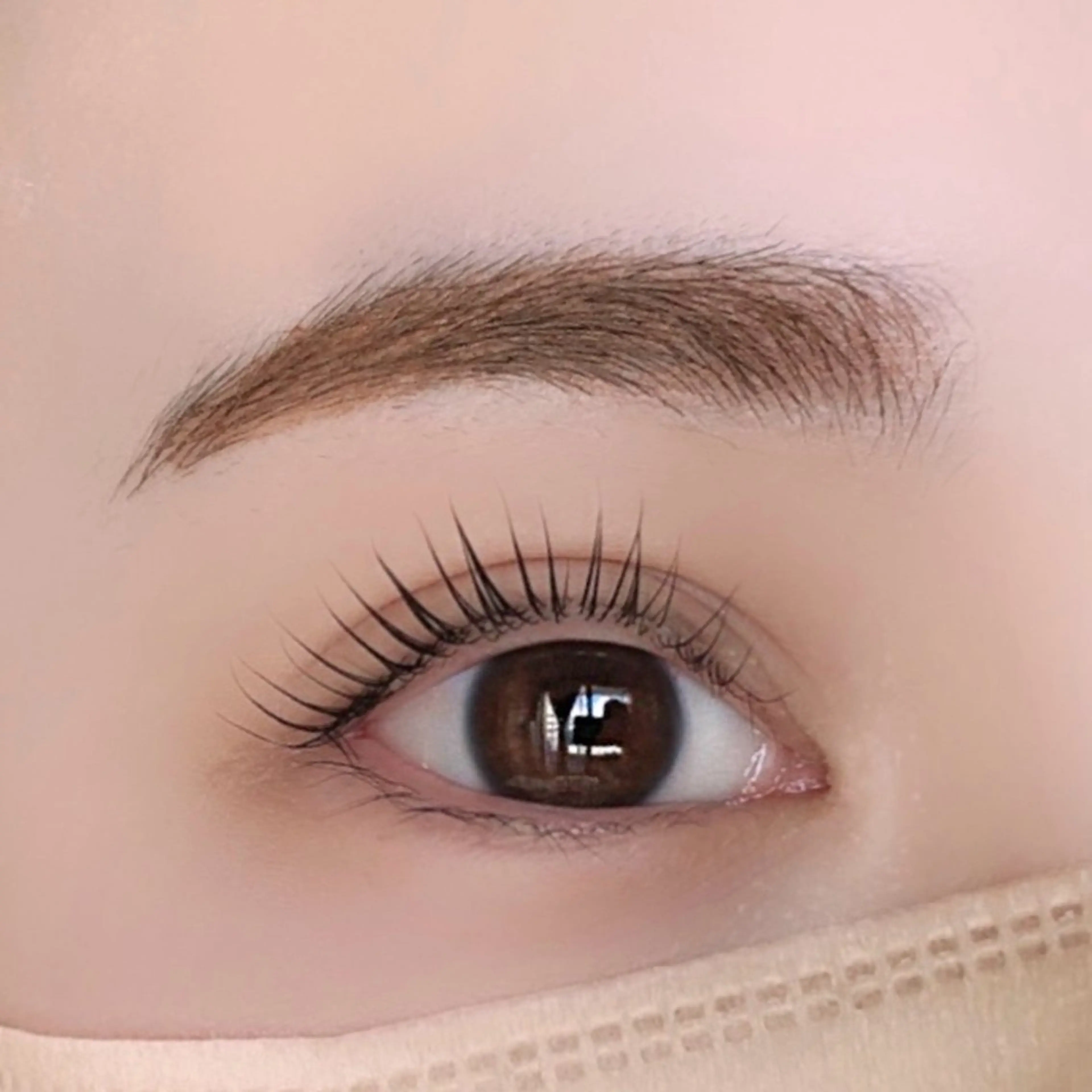 今だけ❣️中顔面短縮✨上下まつ毛パーマ🎀(アイシャンプー&トリートメント&コーティング付き)の写真