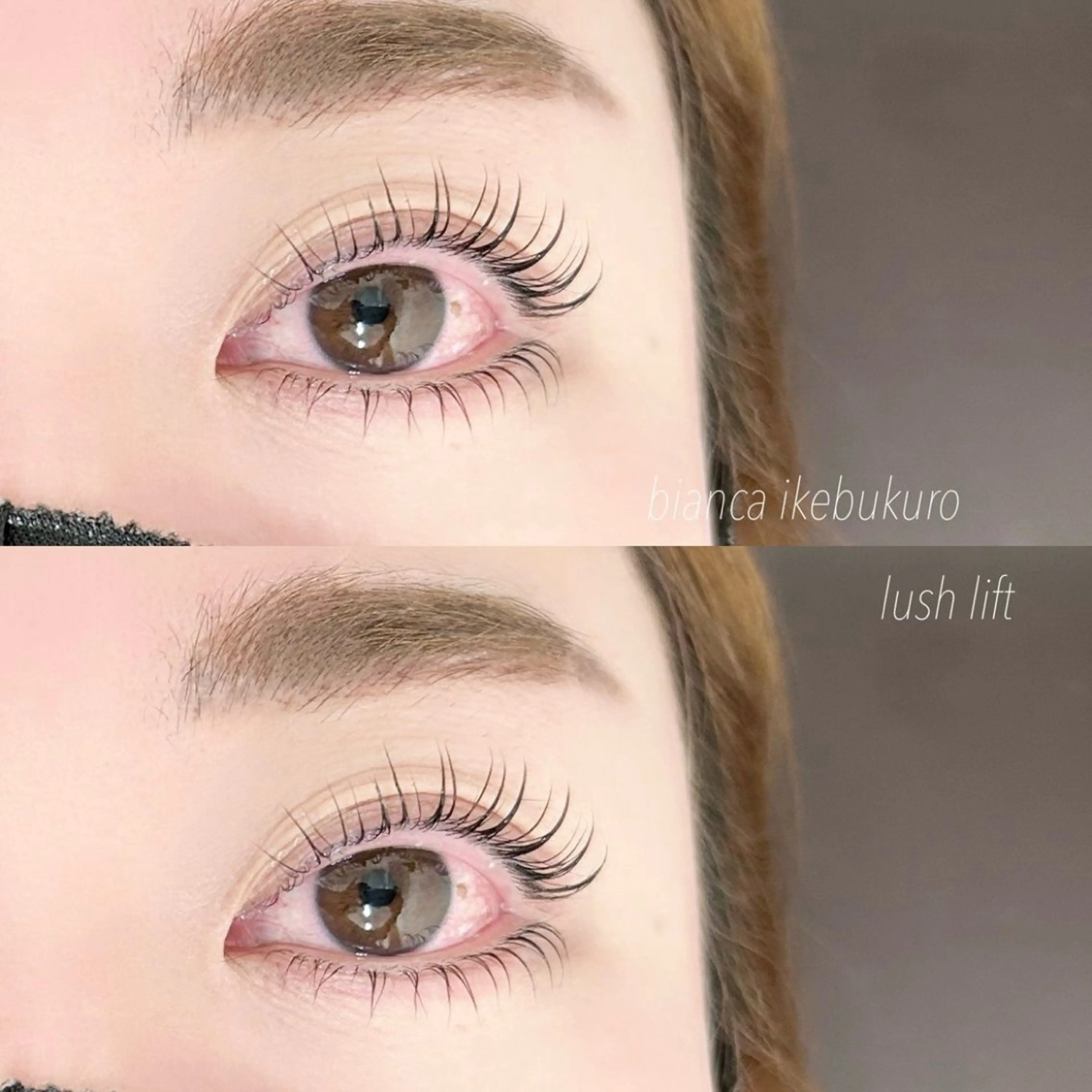 【予約数No. 1】🥇ラッシュリフト上下🥇トリートメント仕上げ✨笹塚/マツパ/韓国風/束間の写真