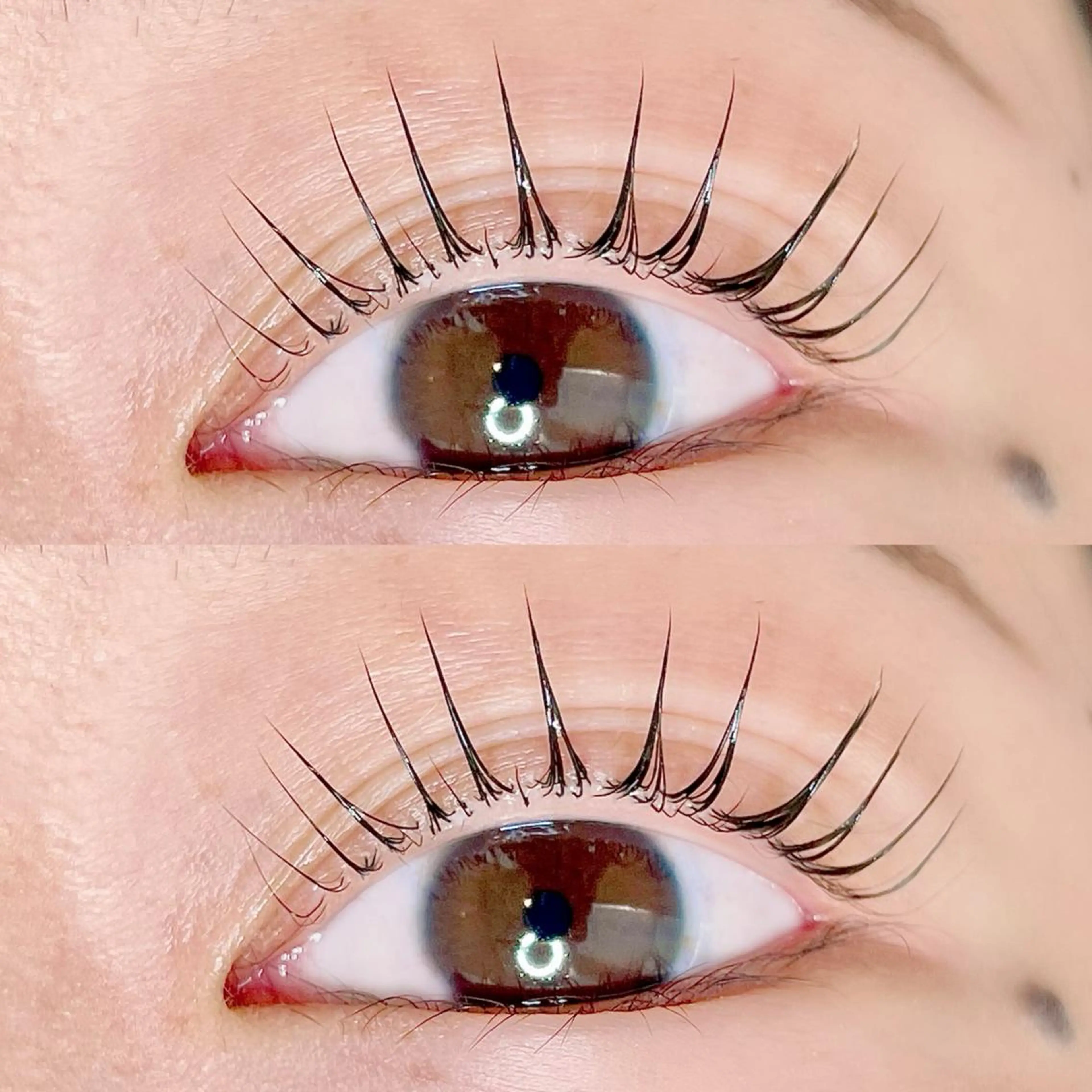 マツエク・マツパ AYLASH🧡 猪又のマツエク・マツパデザイン