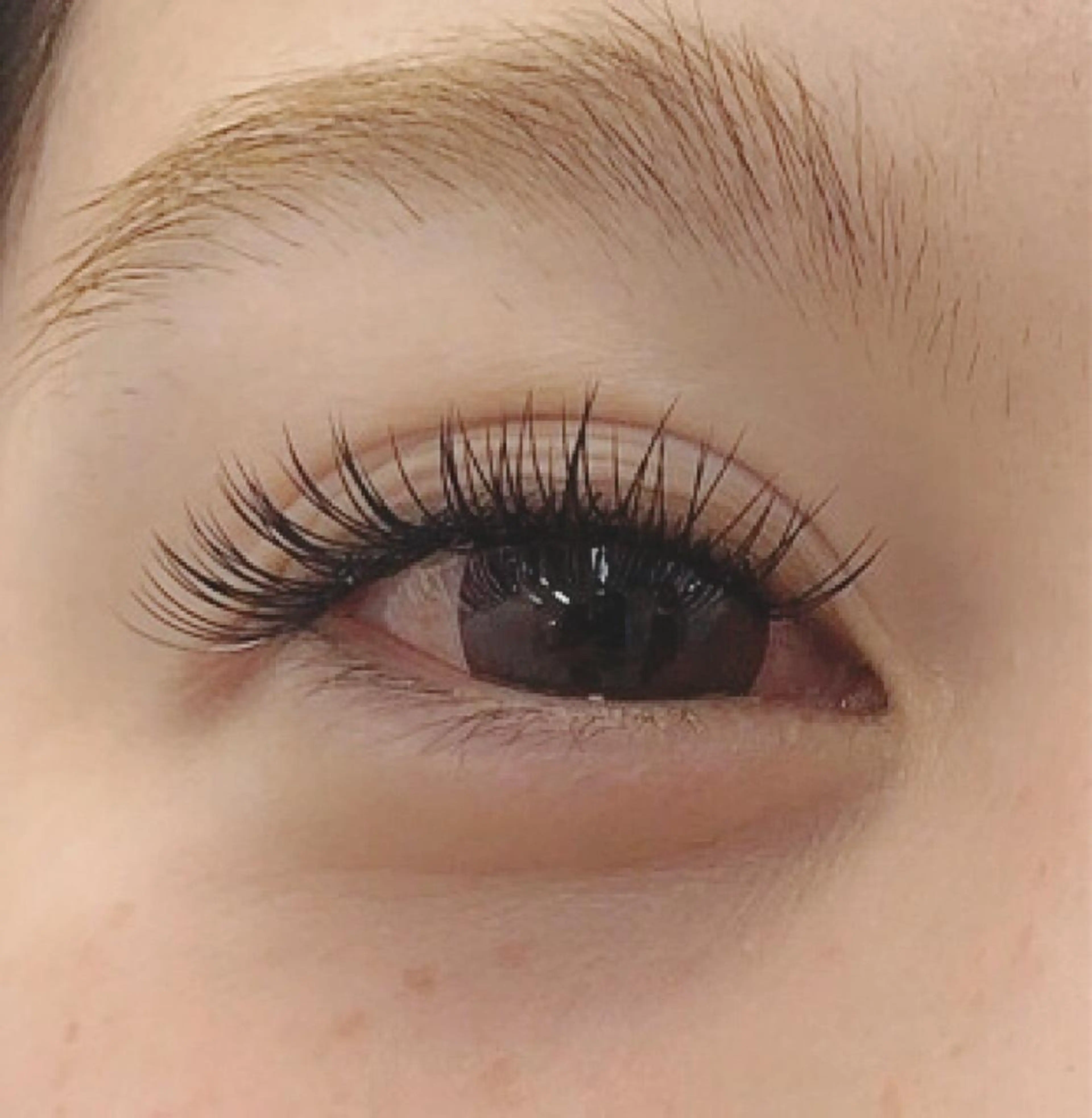 マツエク・マツパ フラットラッシュ LI'A所属・Shihomi Moriのマツエク・マツパデザイン