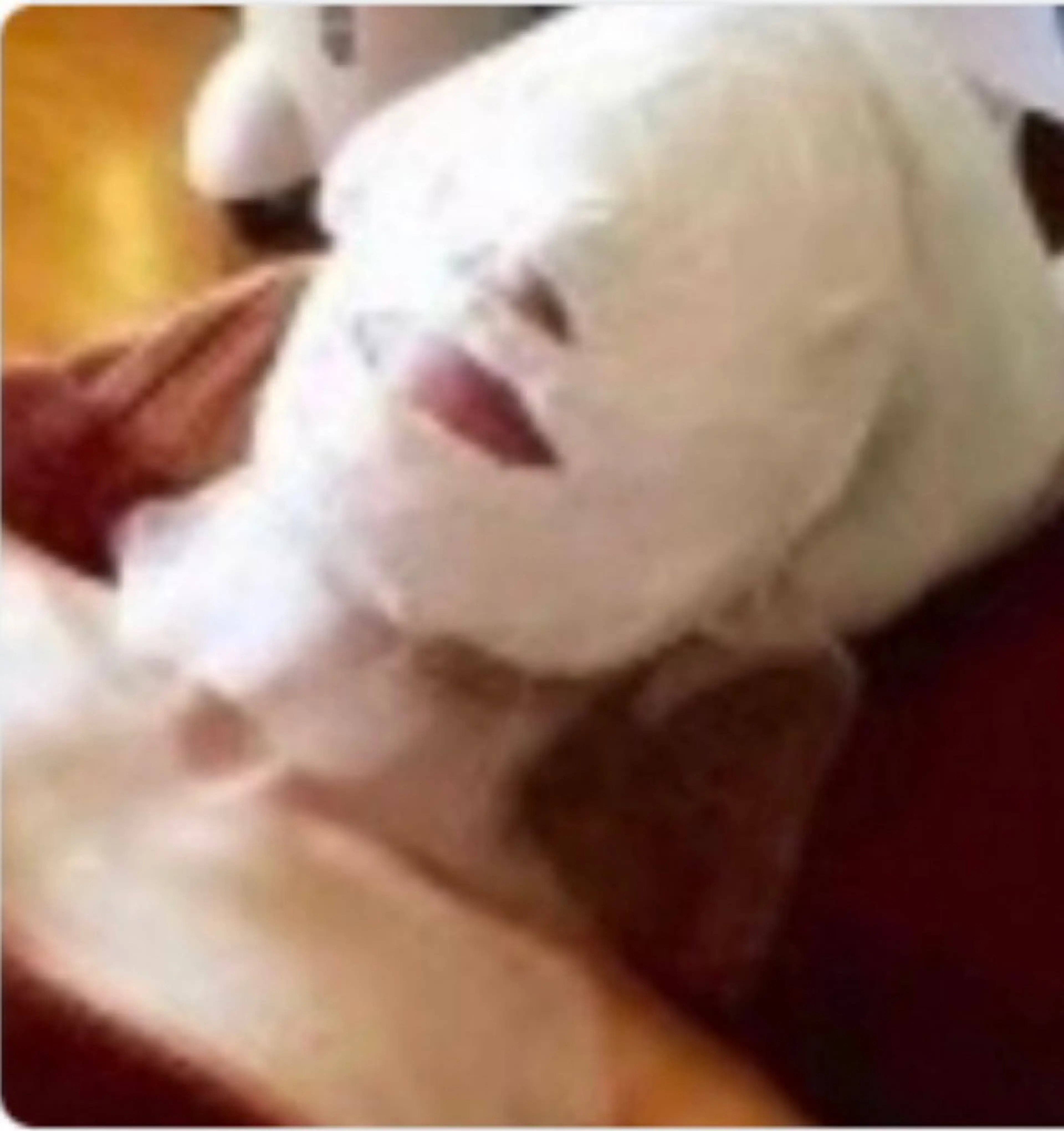 小颜（コルギ+上半身集中+パック付）の写真